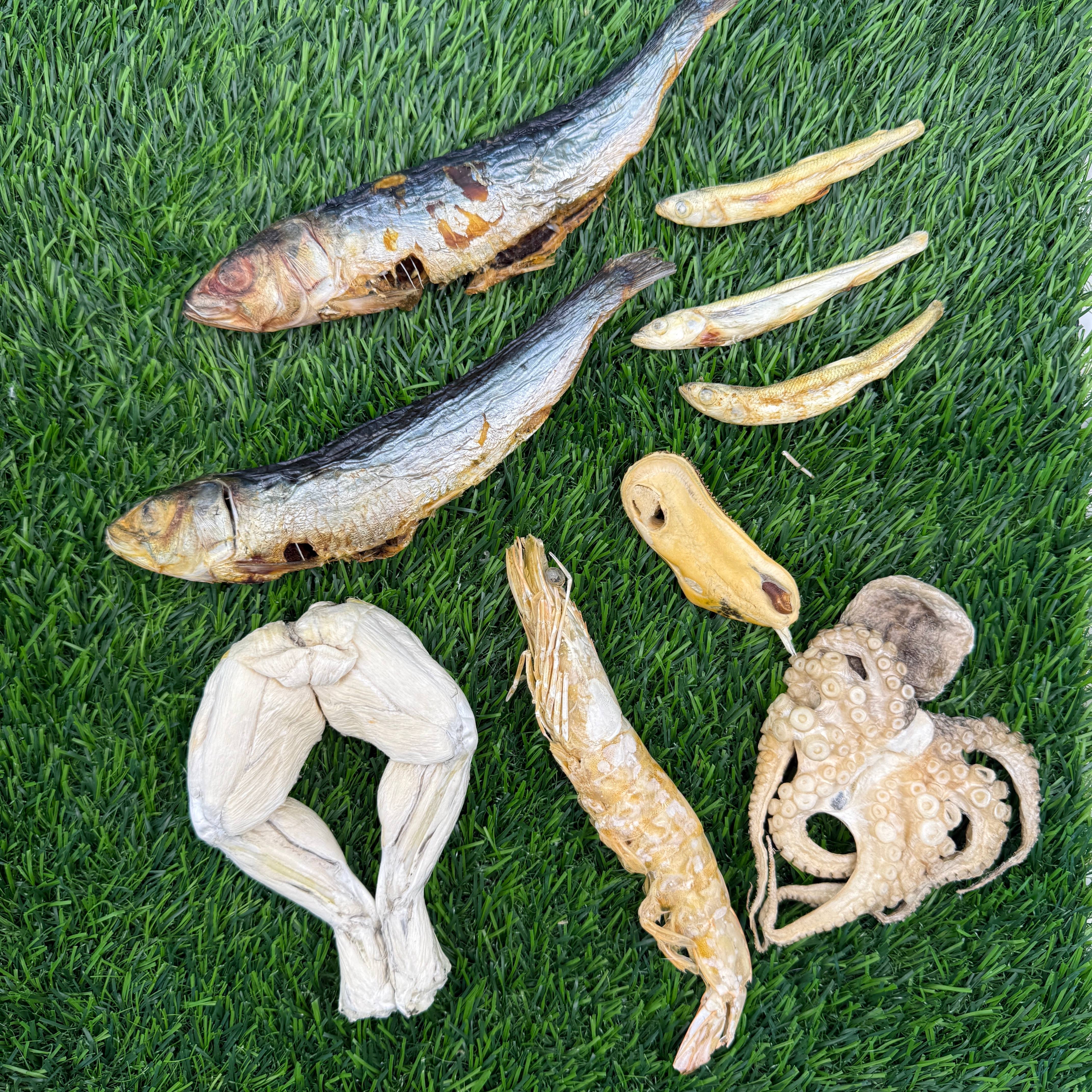 Golden Nibbles Neptune's Nibbles Variety Bag