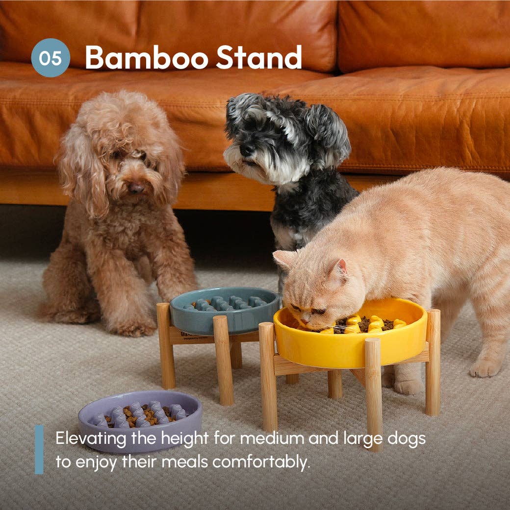 Pehom Macaroni Slow Feeder Dog Bowls - Purple