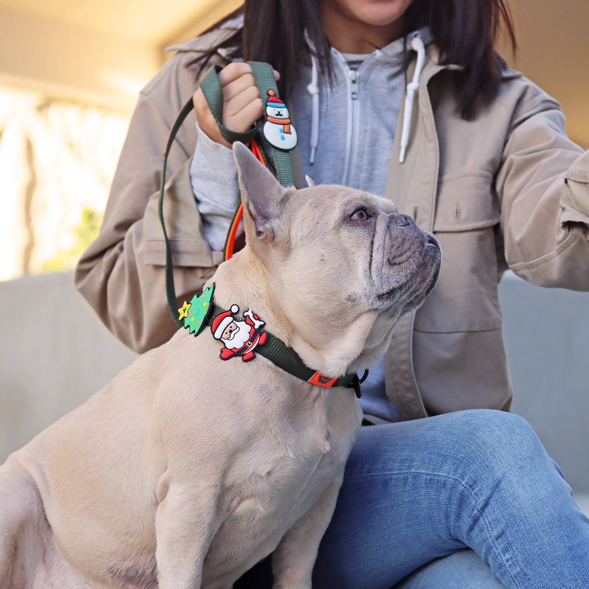 Santa Paws Dog Jiby