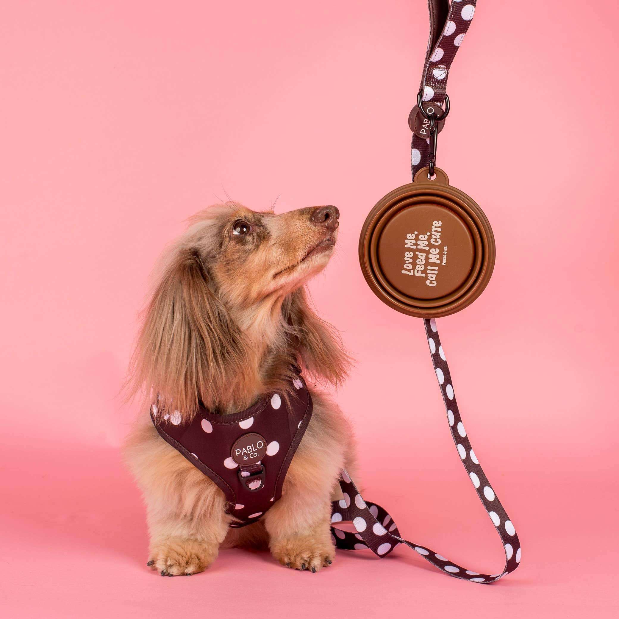 Pablo & Co Collapsible Dog Water Bowl Call Me Cute