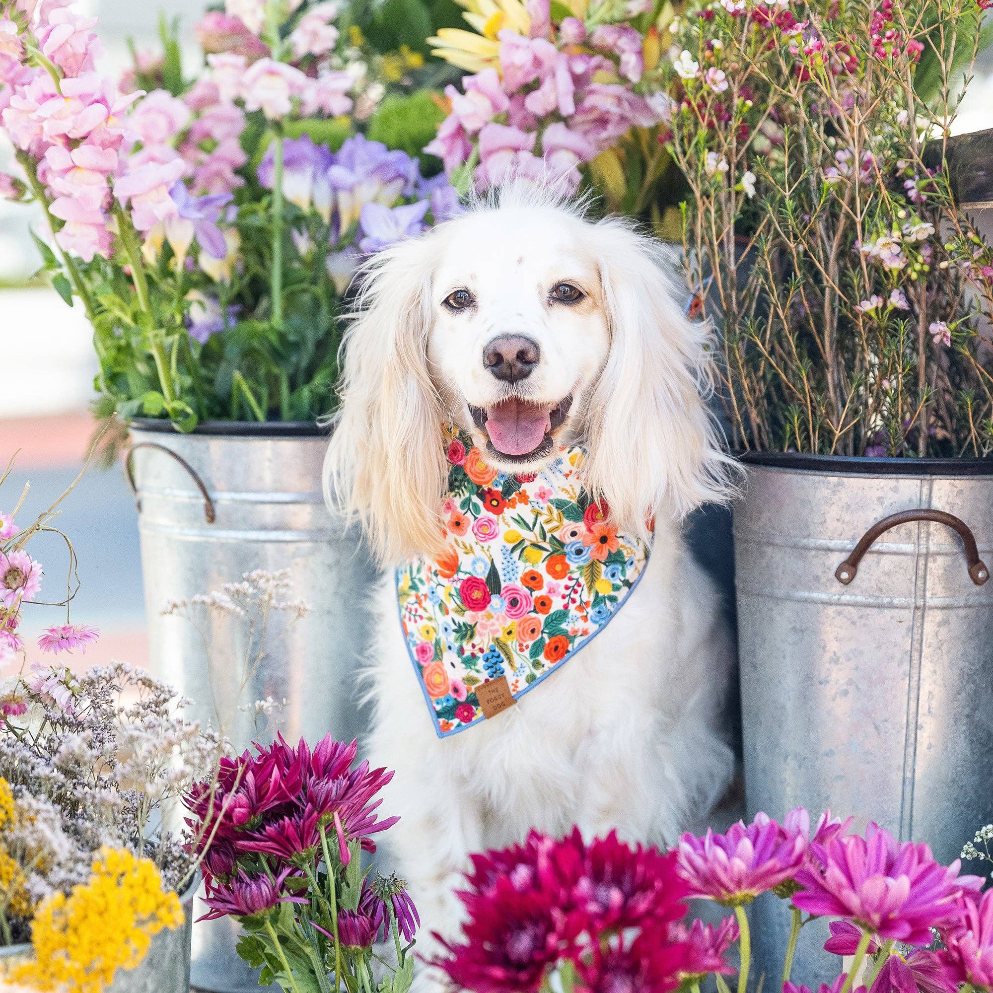 Foggy Dog Garden Party Dog Bandana