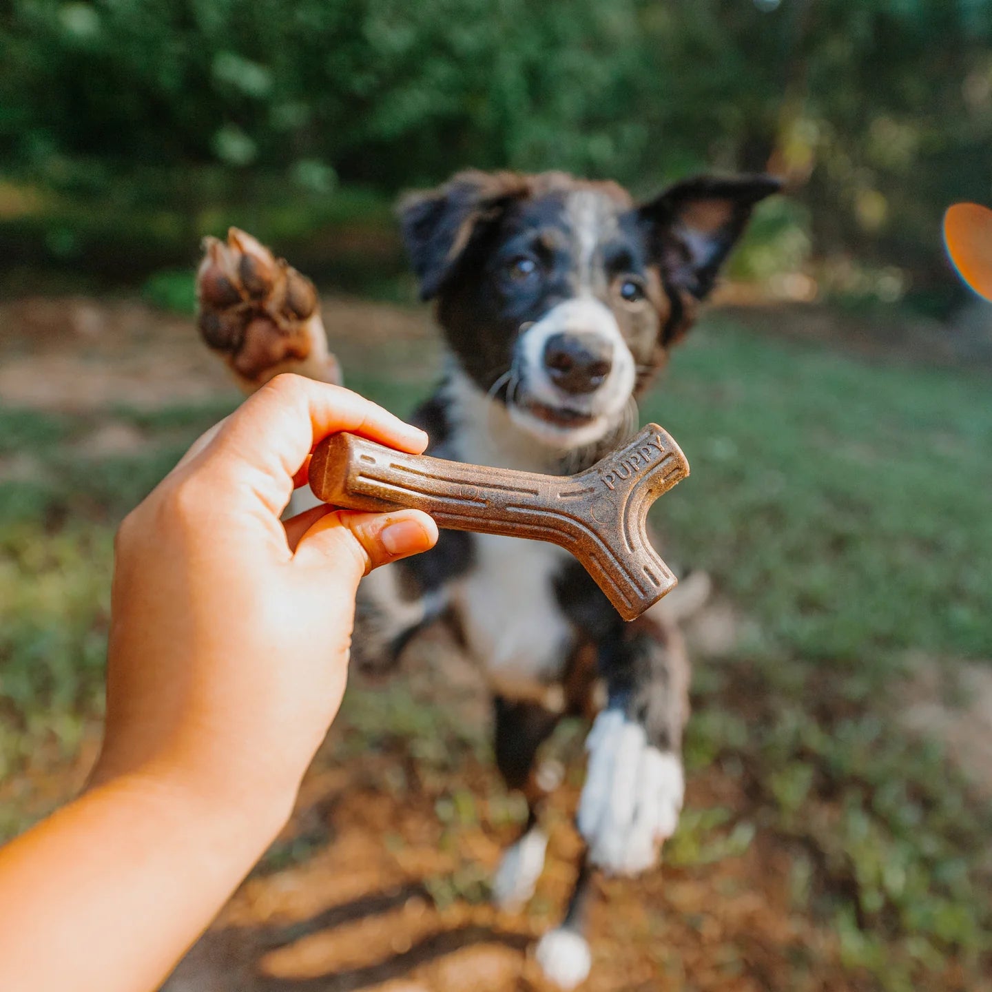 BENEBONE PUPPY MAPLE STICK