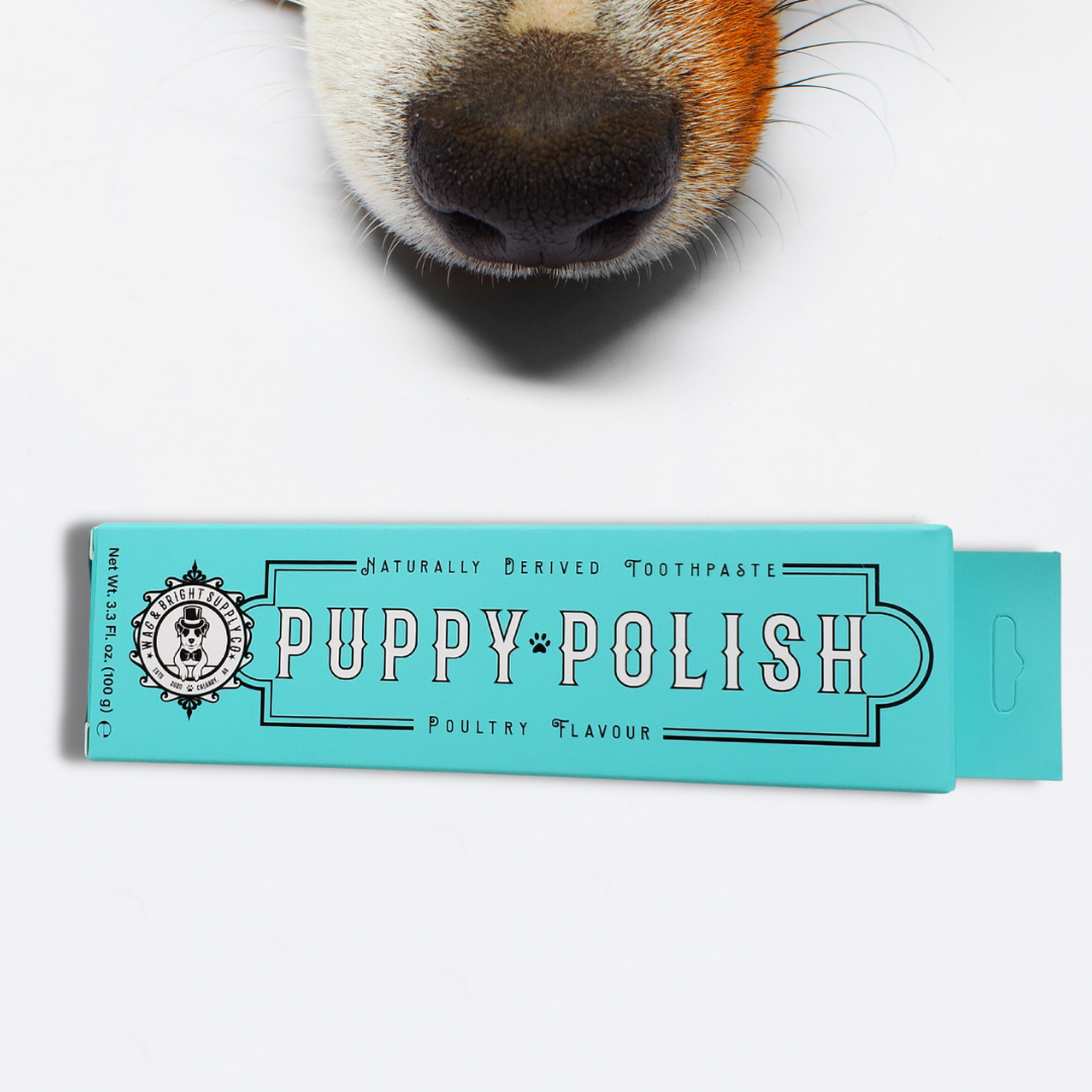 Wag & Bright Puppy Polish Toothpaste