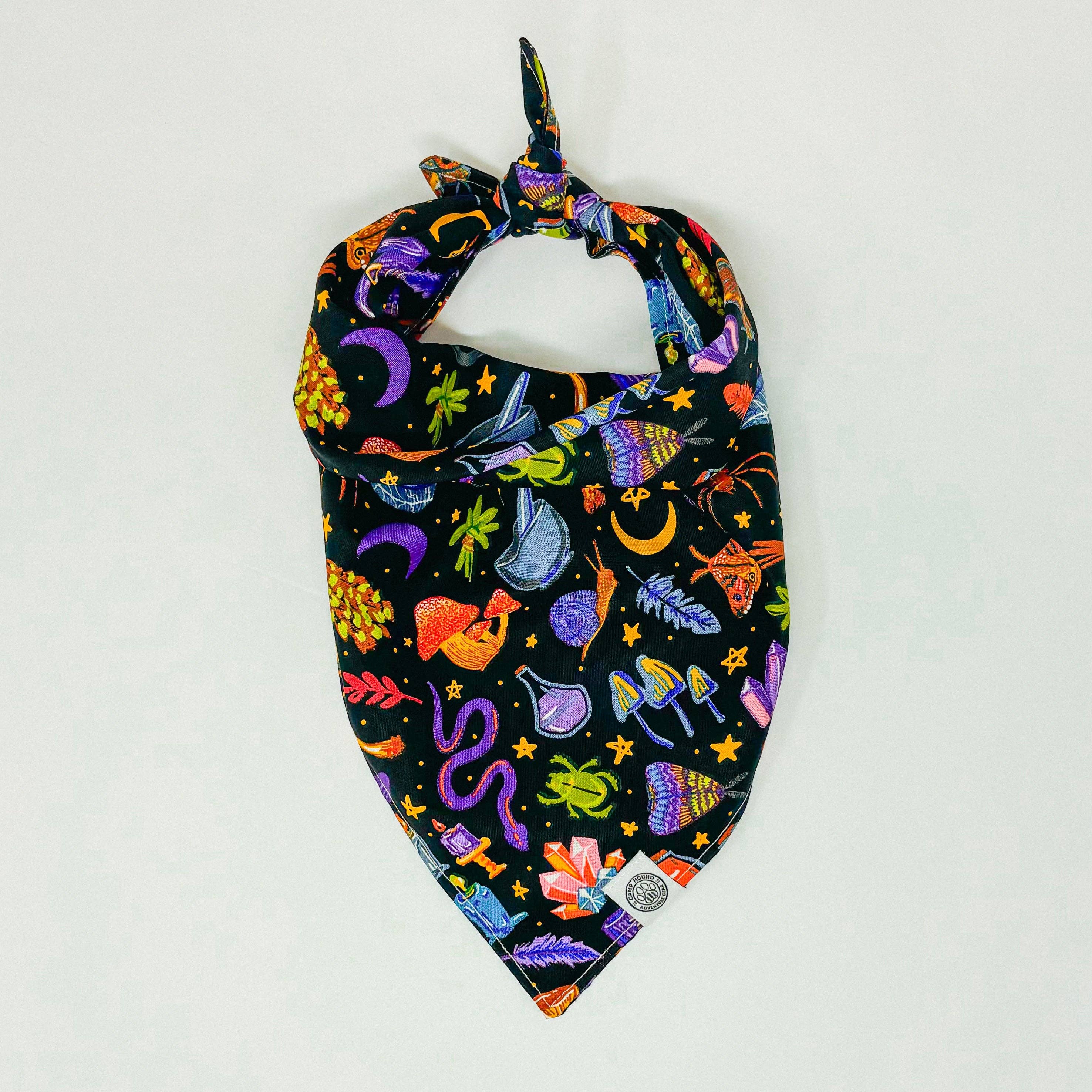 Camp Hound Salem Dog Bandana Halloween Witch