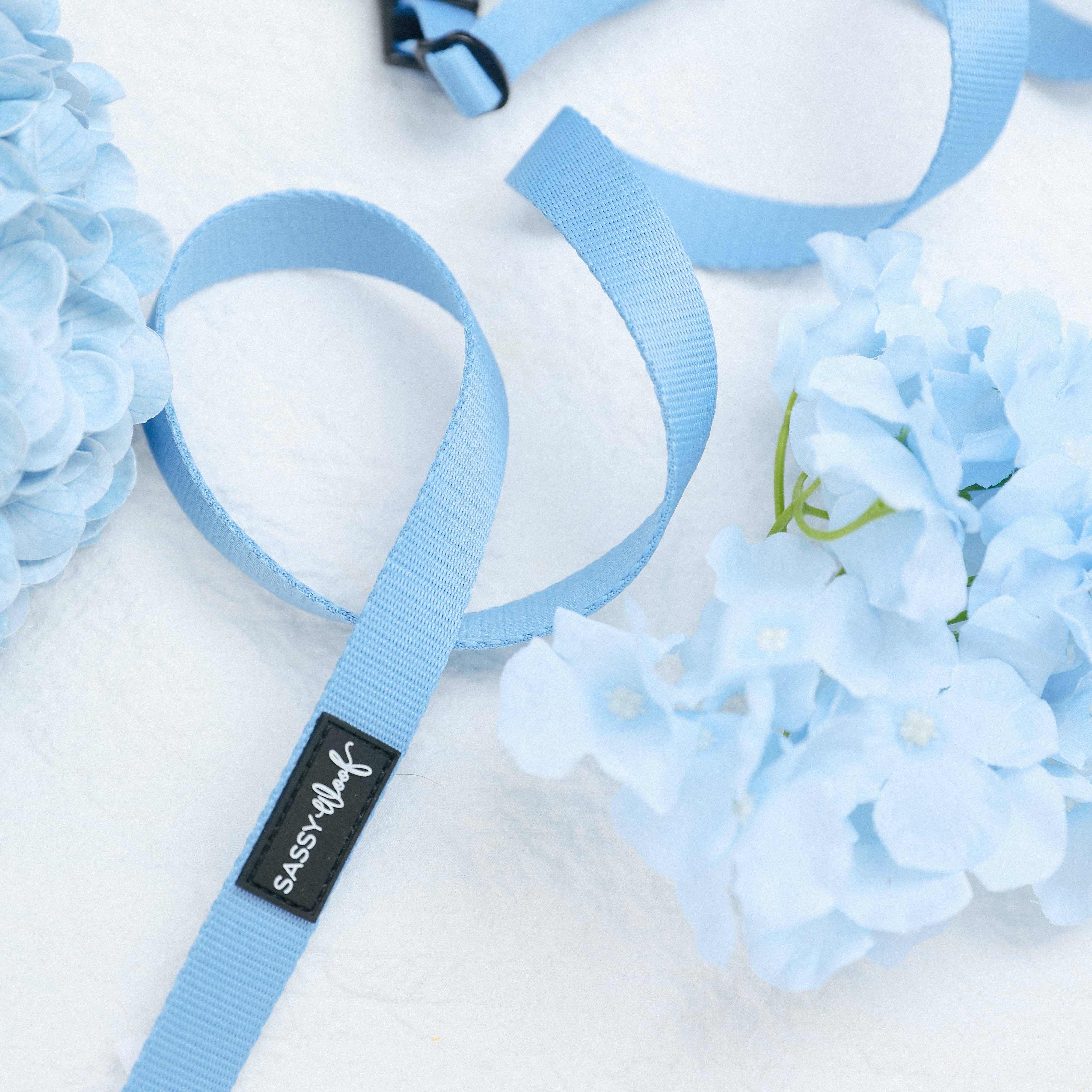 Sassy Woof Dog Leash - Hydrangea