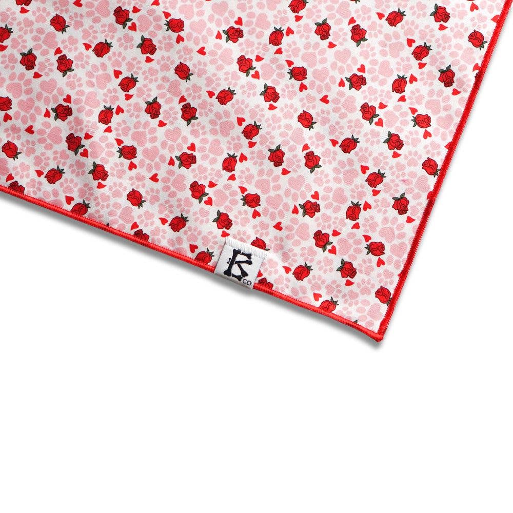 Boneyard Co. "Paws & Roses" Valentine's Bandana