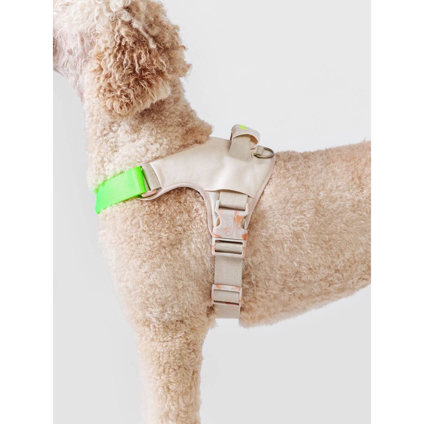 Qisu Hug Harness