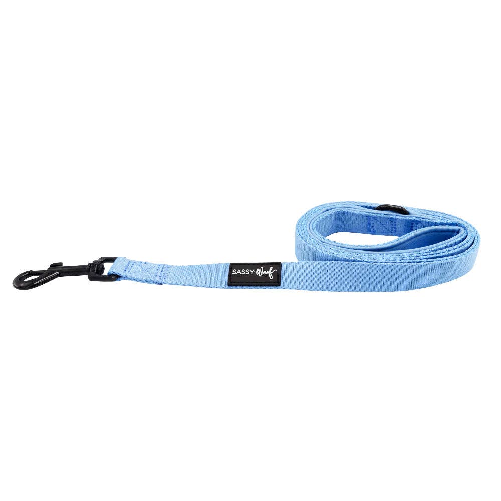 Sassy Woof Dog Leash - Hydrangea
