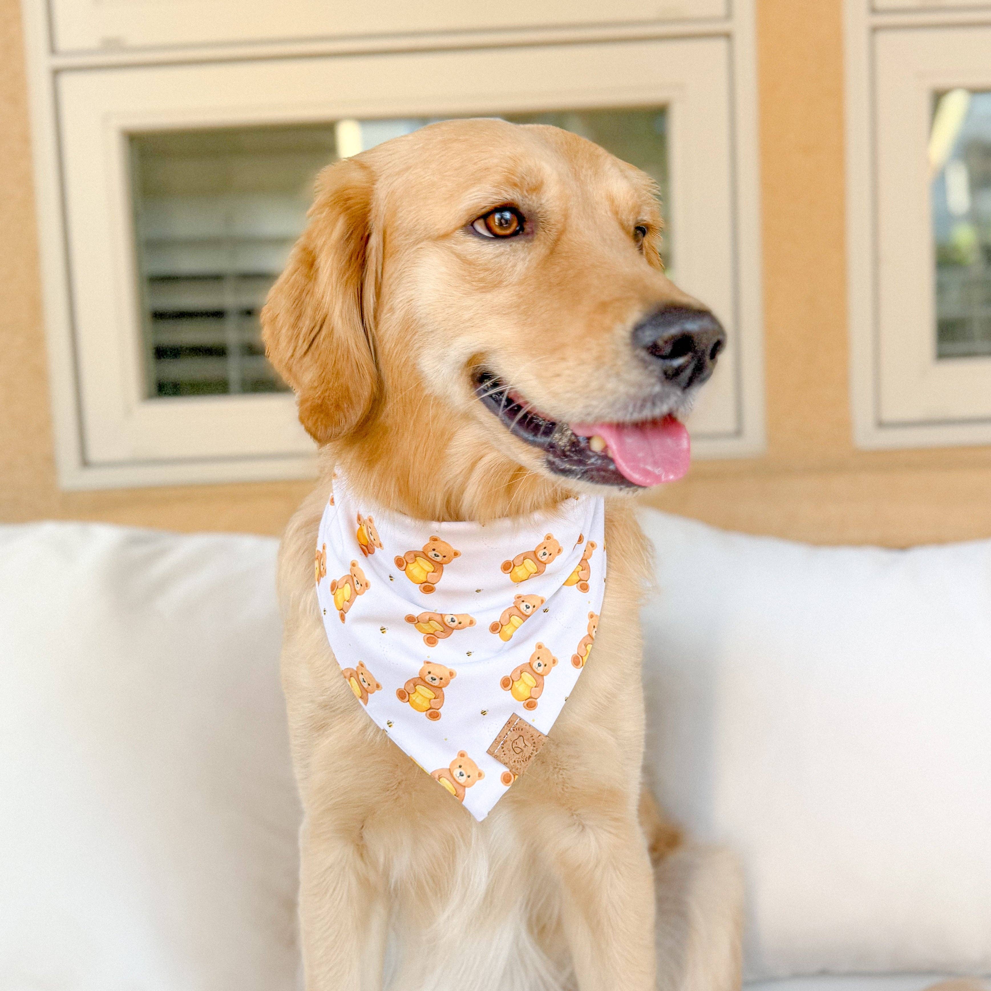 Pawsome Tails Honey Bear Bandana