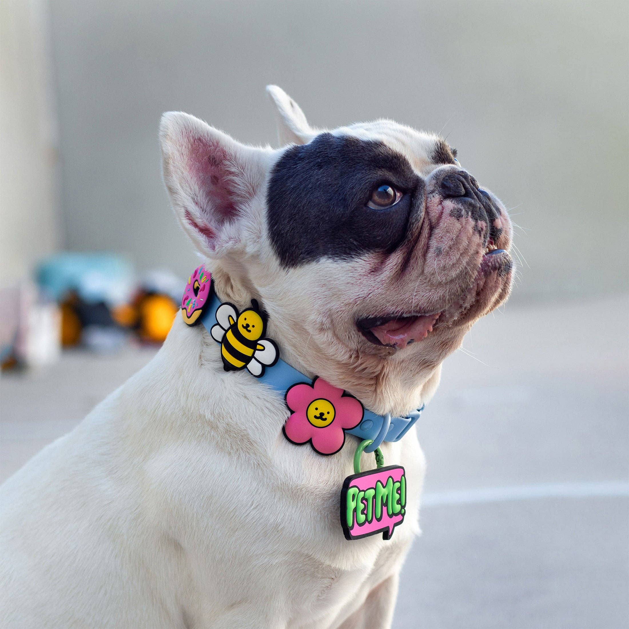 Daisy Pink Jiby Dog Charm