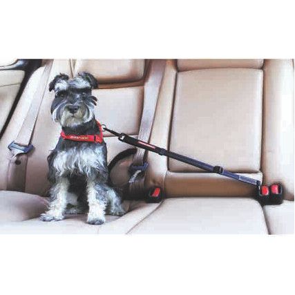 EzyDog Click Adjustable Car Restraint Black