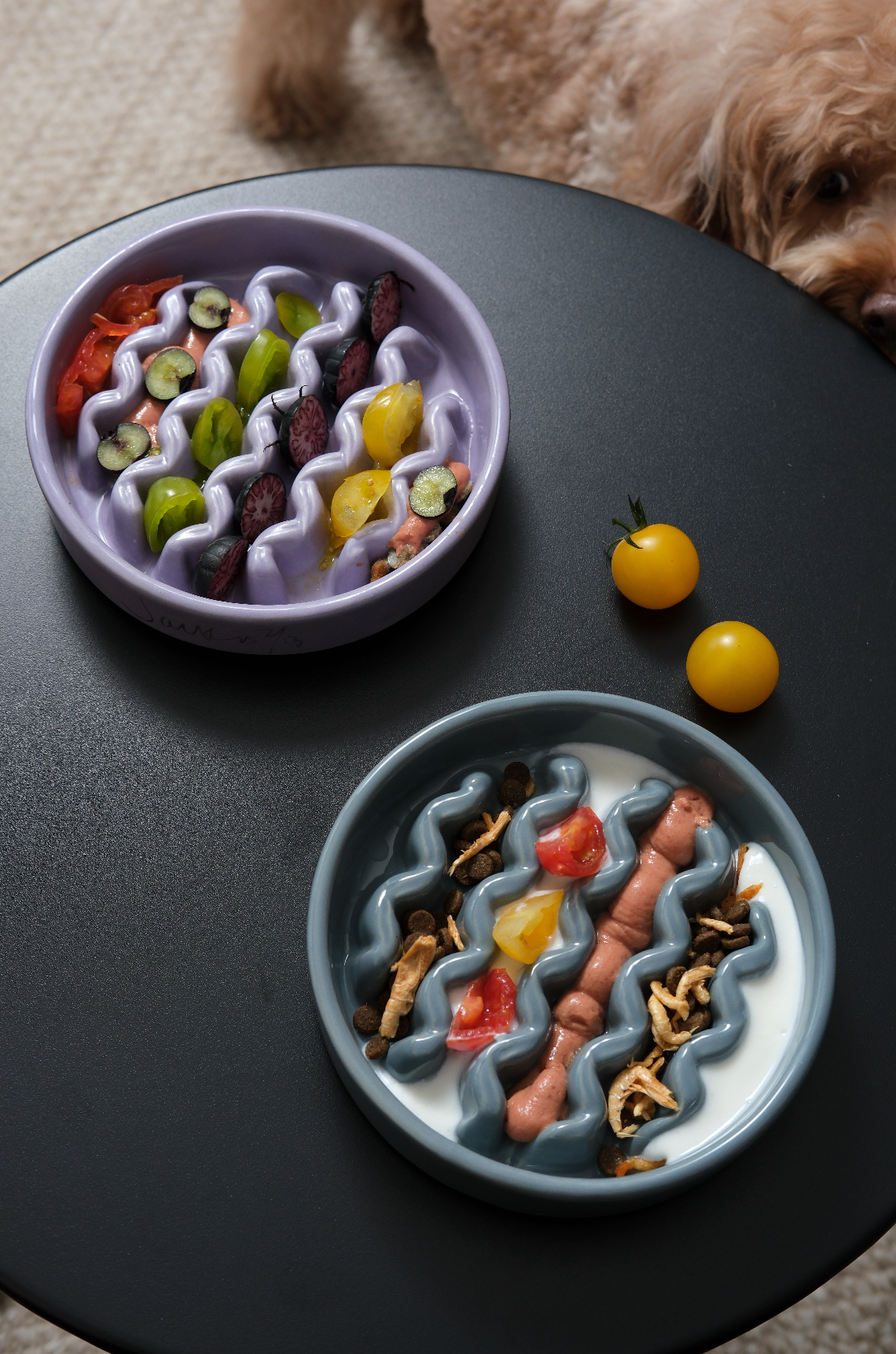 Pehom Macaroni Slow Feeder Dog Bowls - Purple