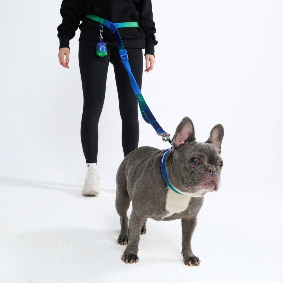 Spark Paws Multipurpose Seatbelt Handsfree Leash & Poop Bag Holder Set - Lime Wave