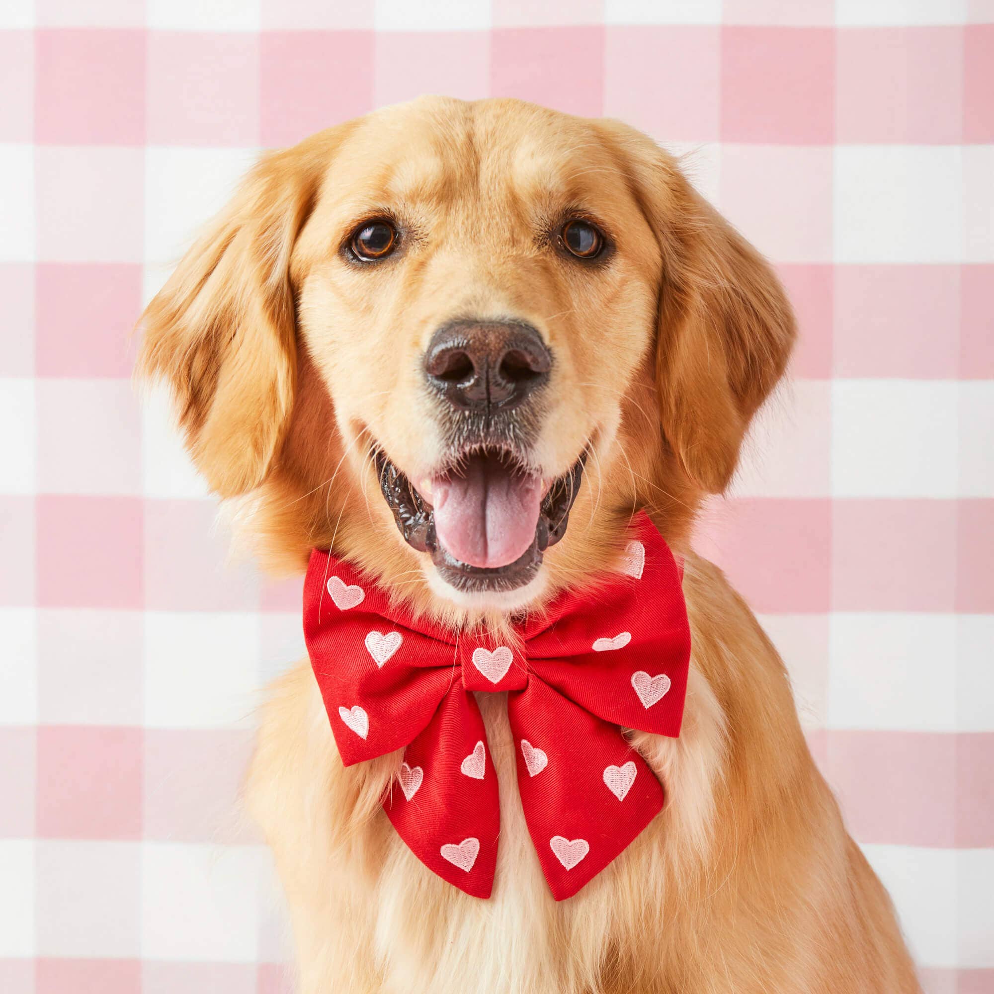 The Foggy Dog Hearts Bow