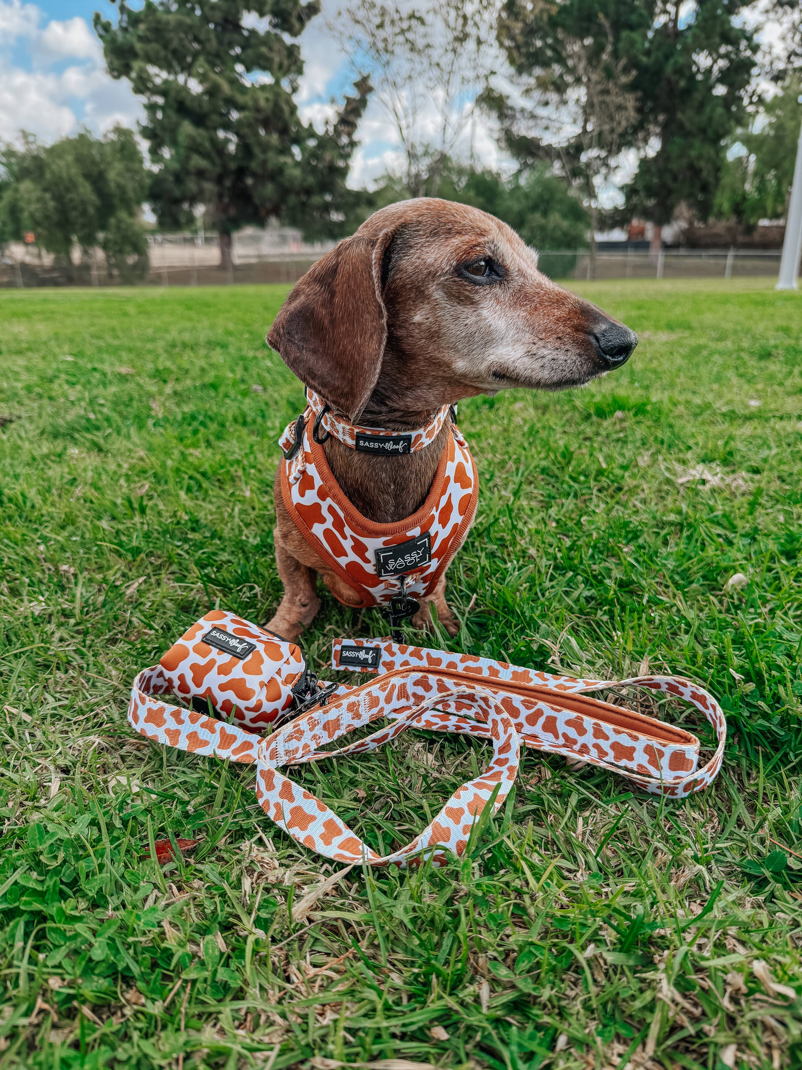 Sassy Woof Waste Bag Holder - Chocolate Milk