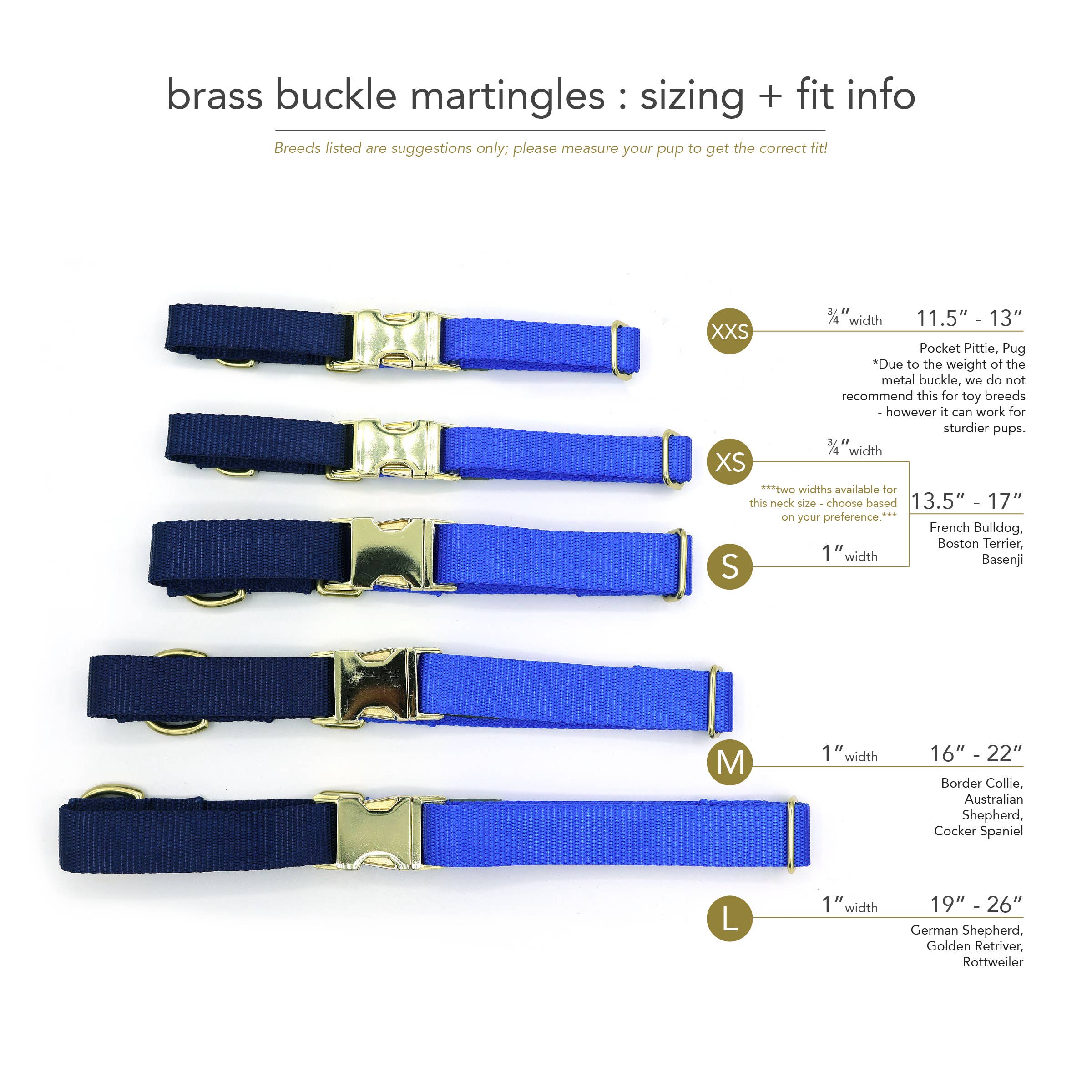 Major Darling Quick-release Martingale Collar / Brass Snap