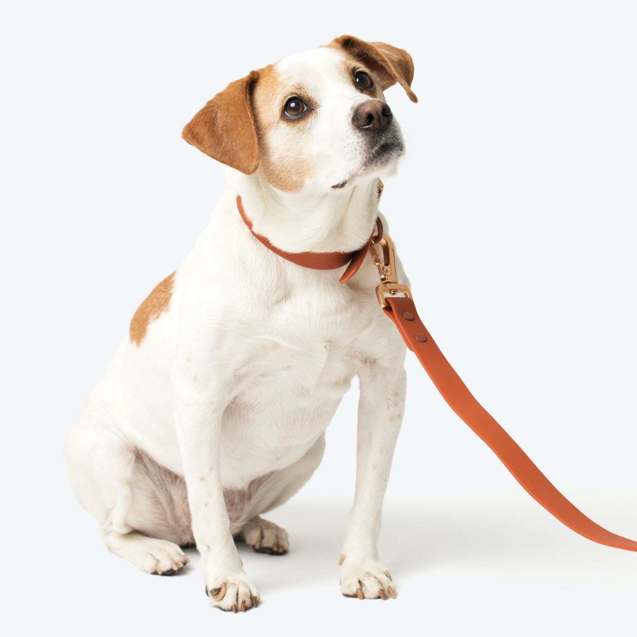 Lucy & Co. Terracotta Everyday PVC Leash