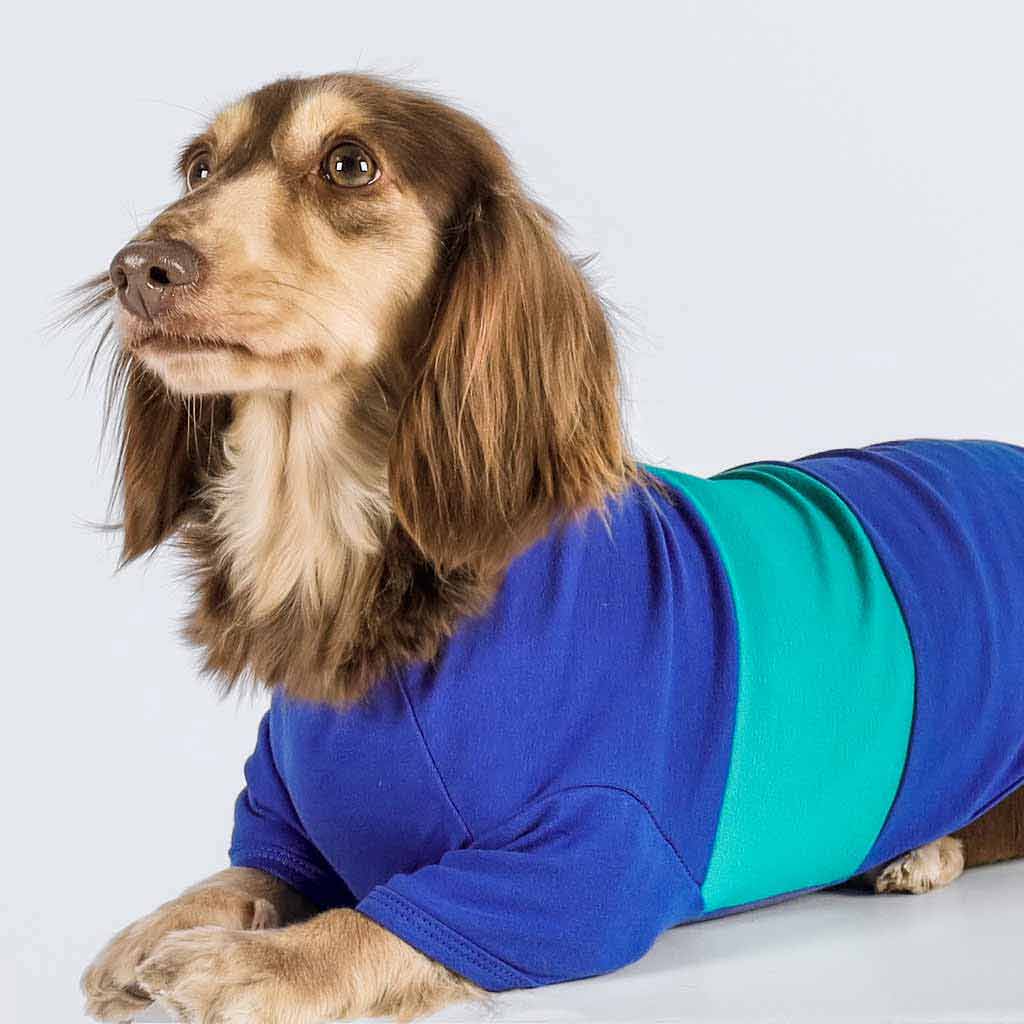 Fitwarm Colorblock Tee Teal