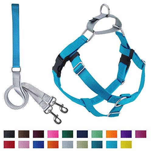 2 Hounds Design Freedom No-Pull Dog Harness with Leash - Turquoise
