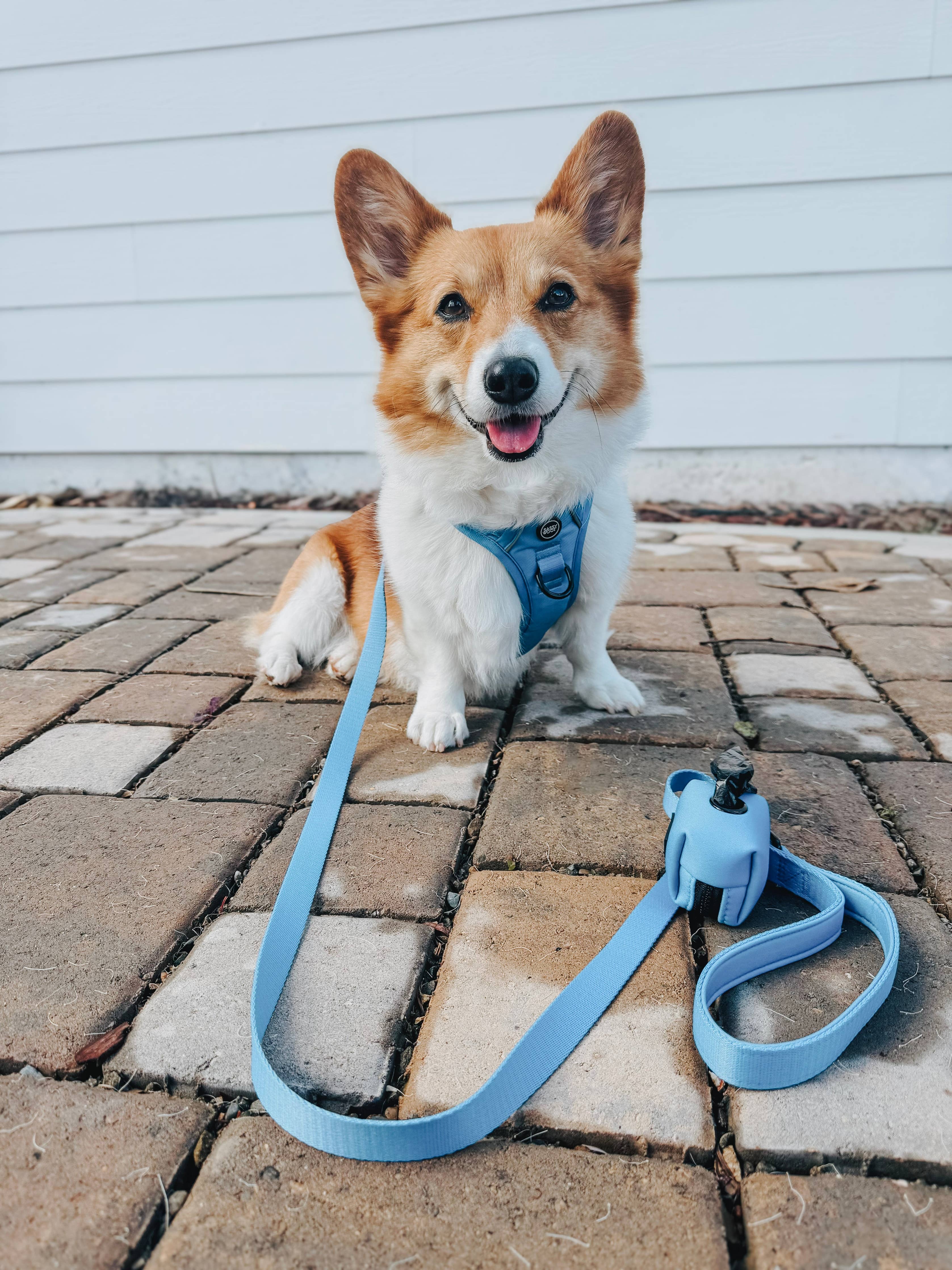 Sassy Woof Dog Leash - Hydrangea