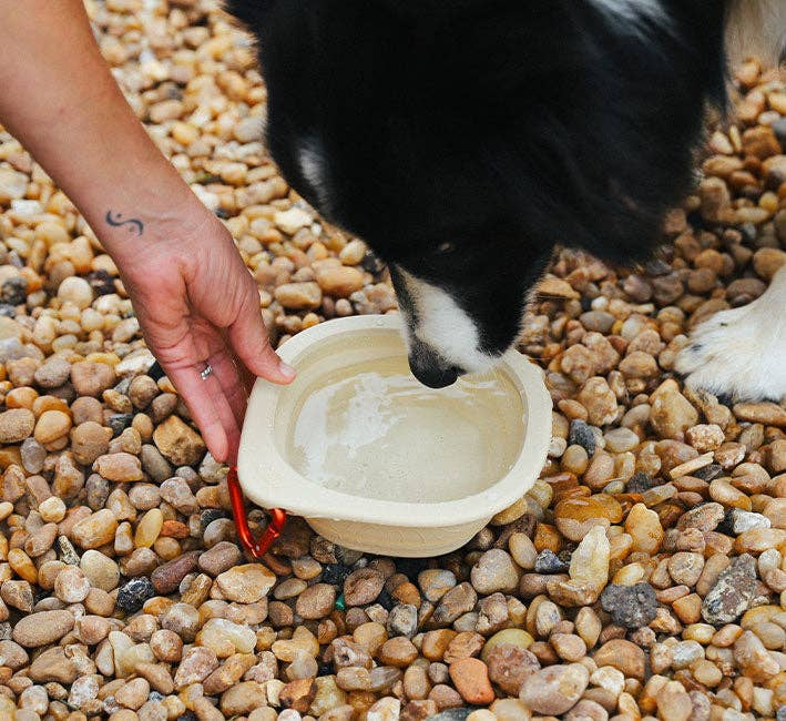 Zee.Dog Go Bowl - Biscotti