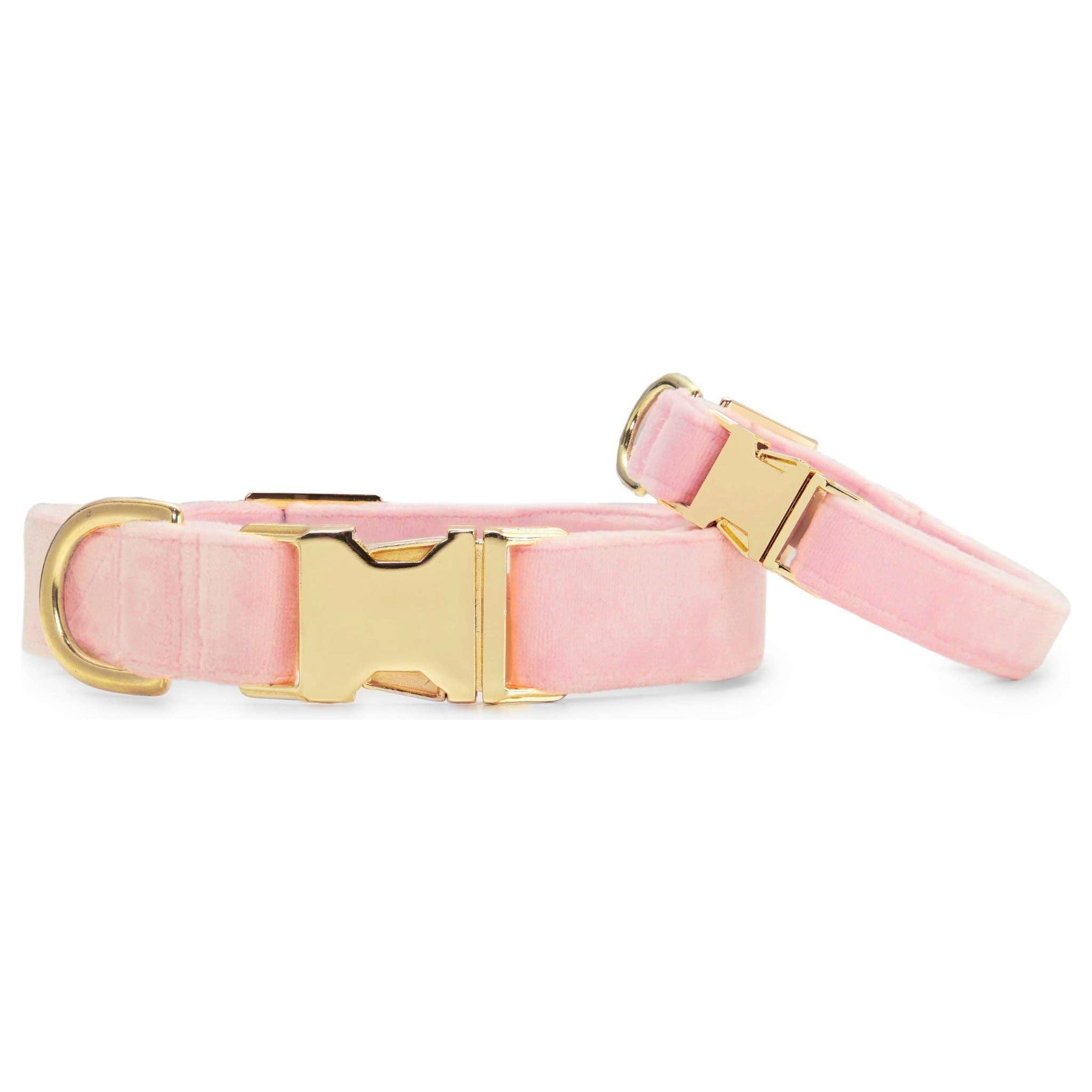 The Foggy Dog Blush Pink Velvet Dog Collar