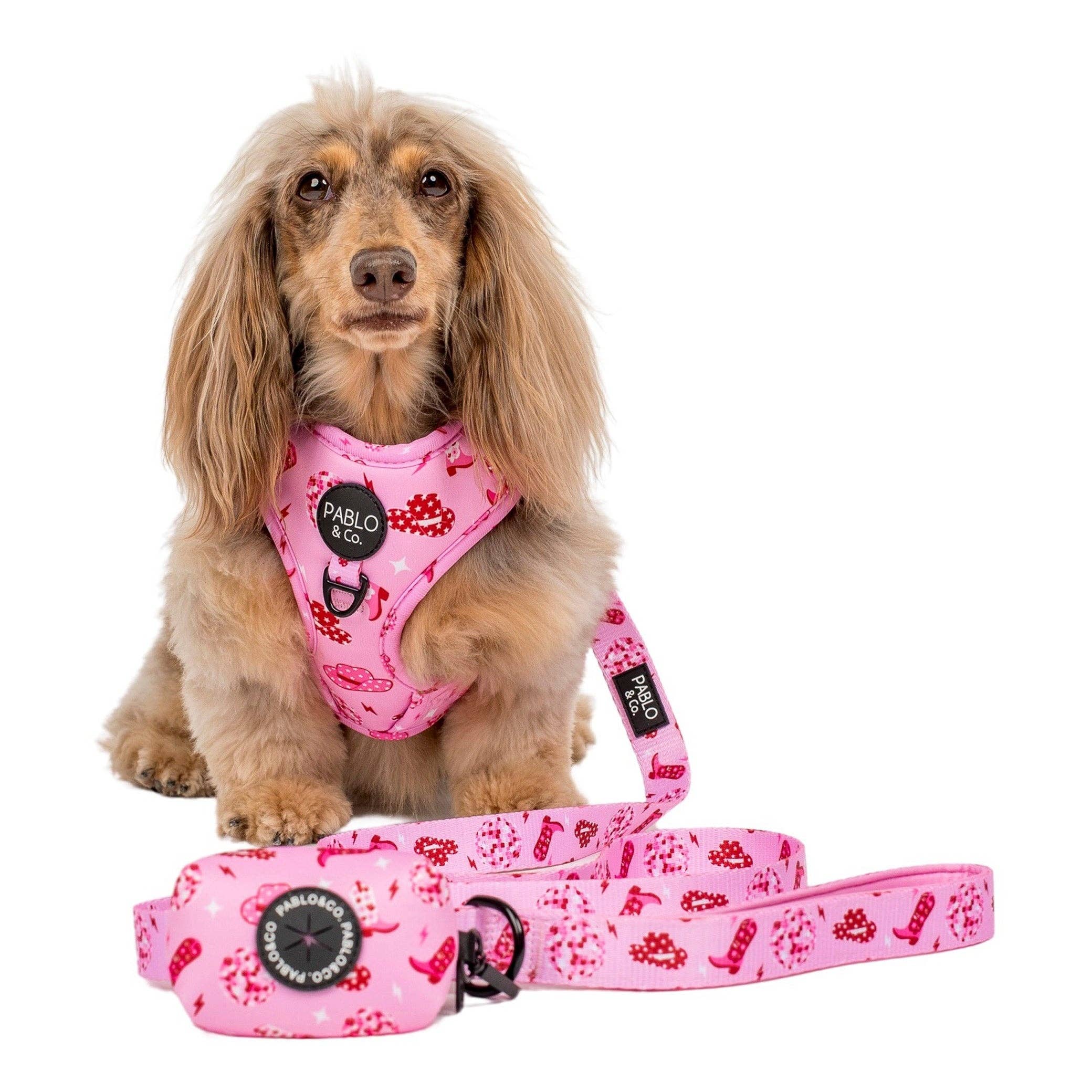 Pablo & Co Disco Cowgirl Poop Bag Holder