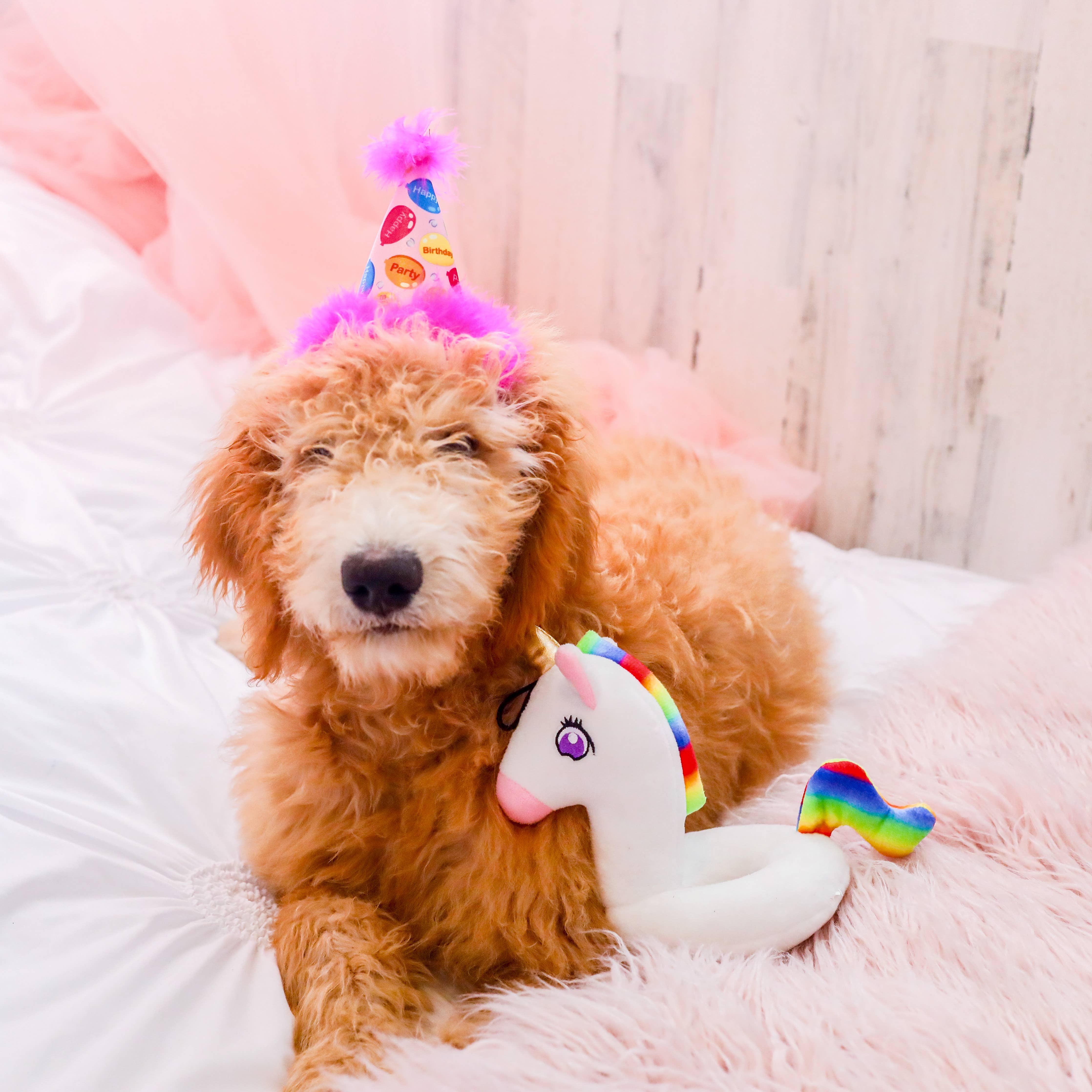 Party Time Pink Party Hat with SnugFit®