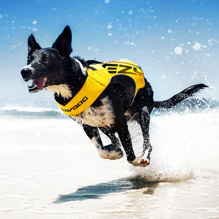 EzyDog DFD X2 Boost Life Jacket Yellow