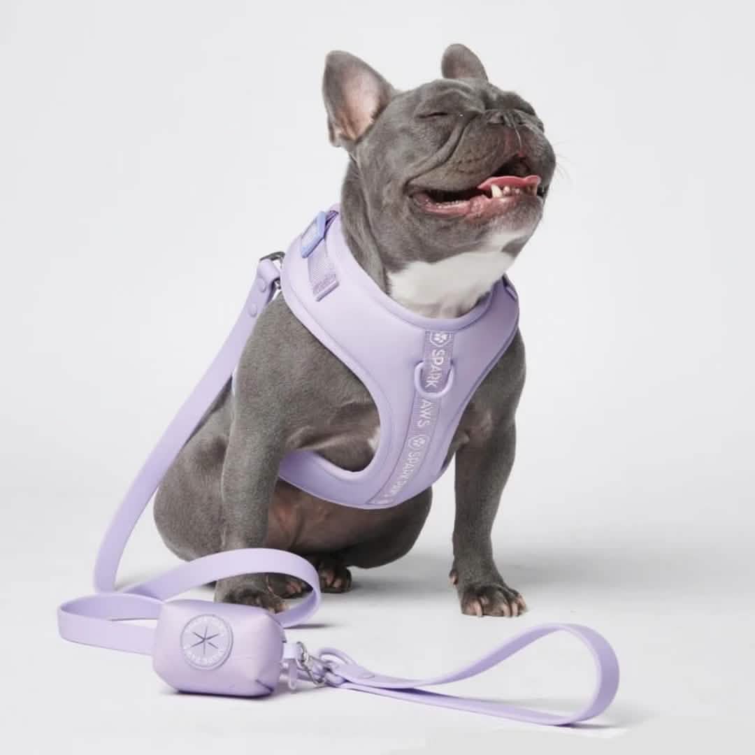 Spark Paws Leash and Poop Bag Holder Set - Lilac