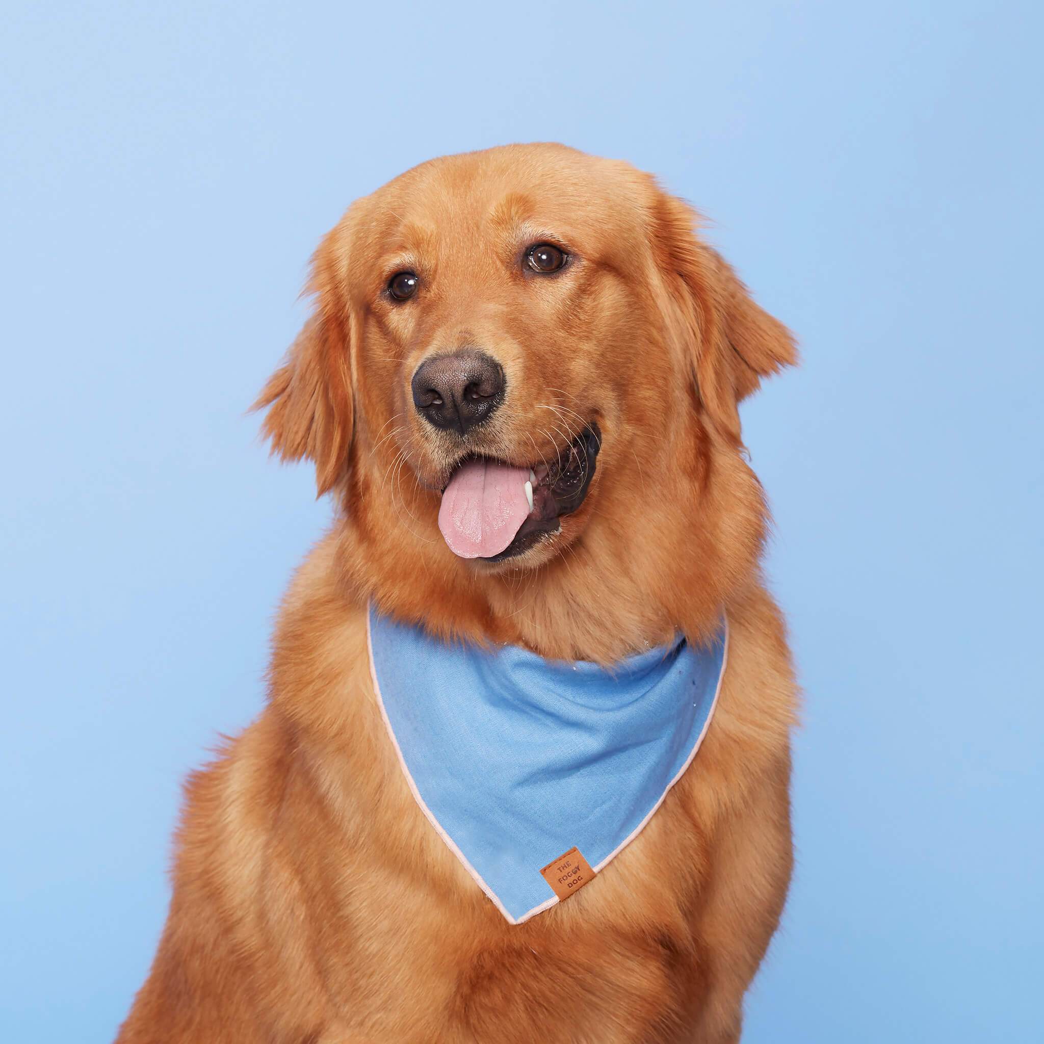 The Foggy Dog Periwinkle Dog Bandana