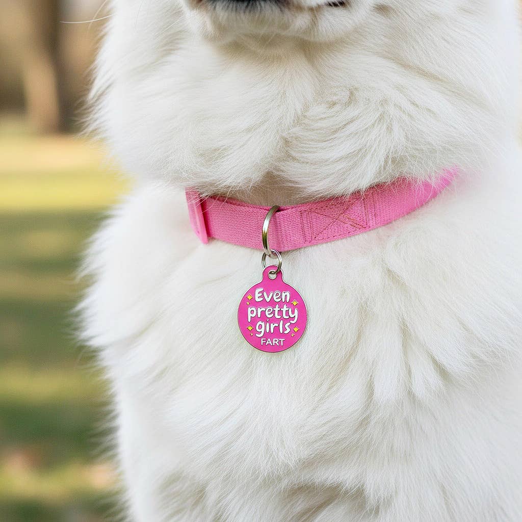 Bad Tags Even Pretty Girls Fart