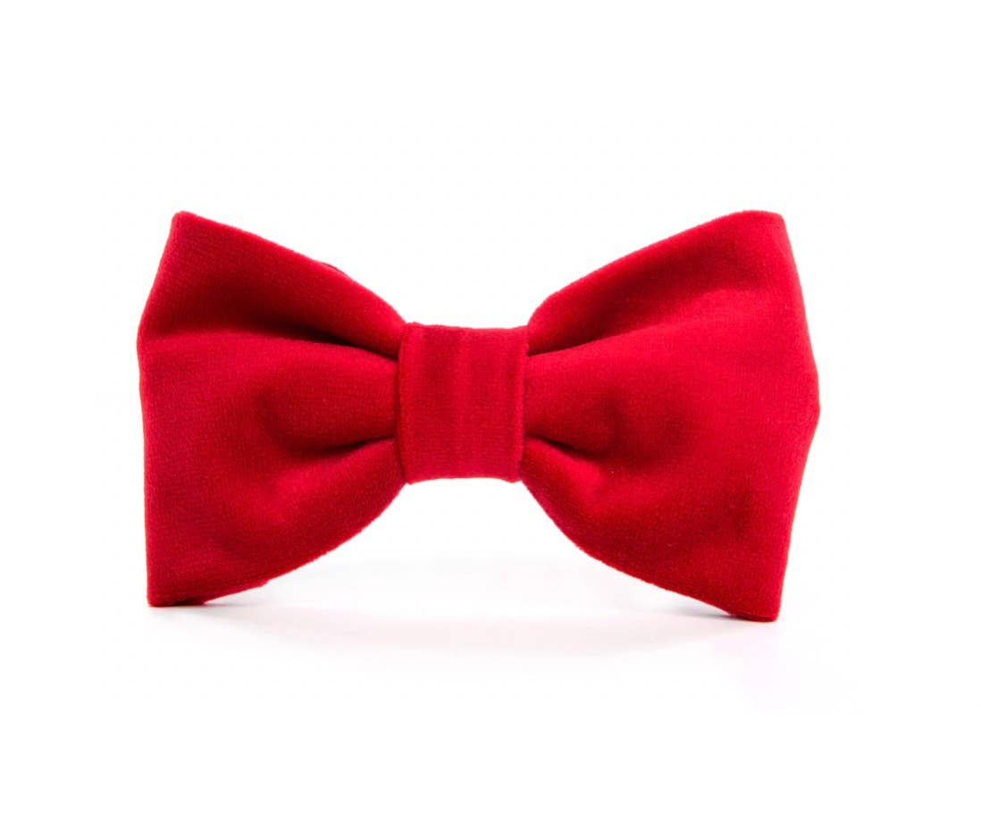 Cranberry Velvet Dog Bow Tie