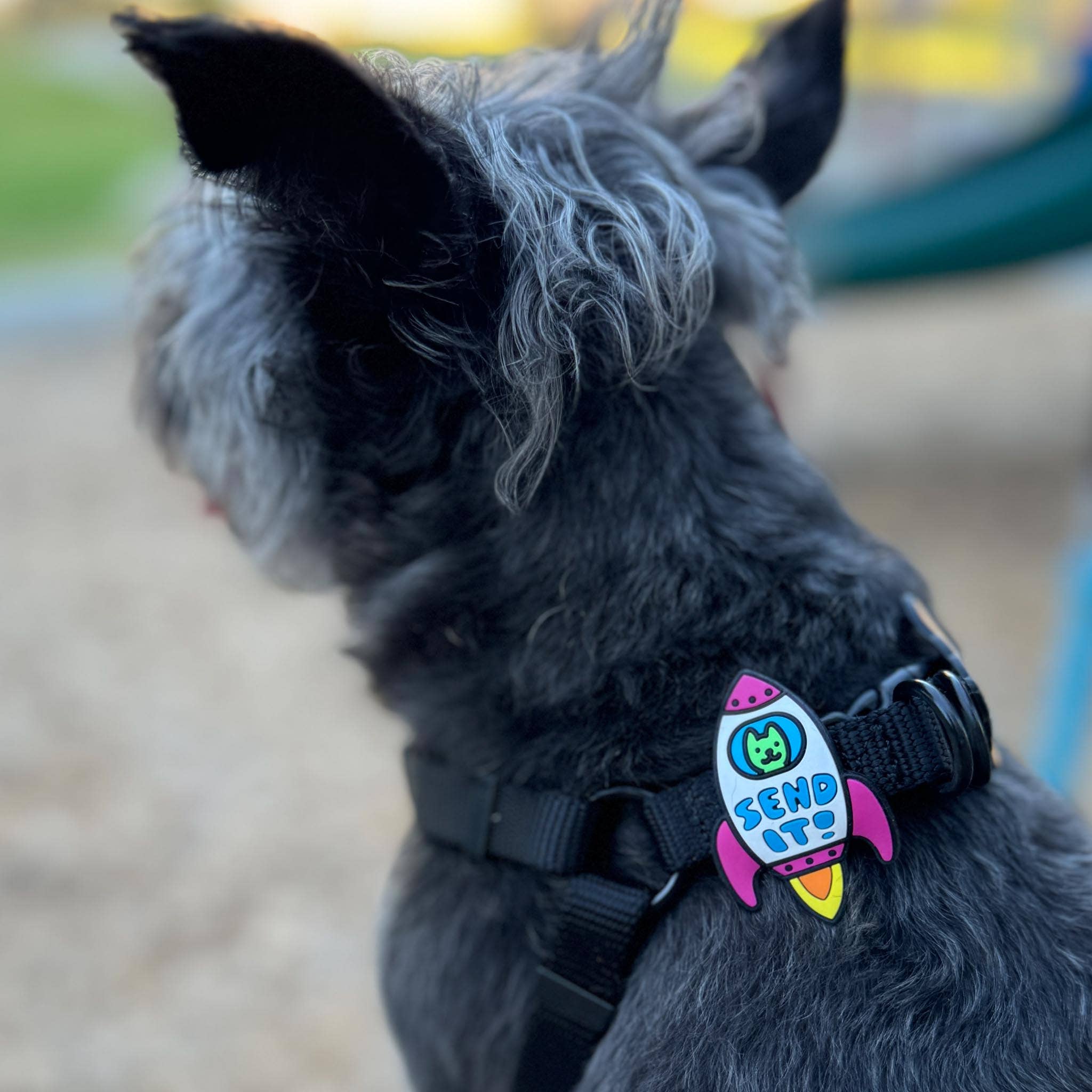 Rocket Dog Jiby