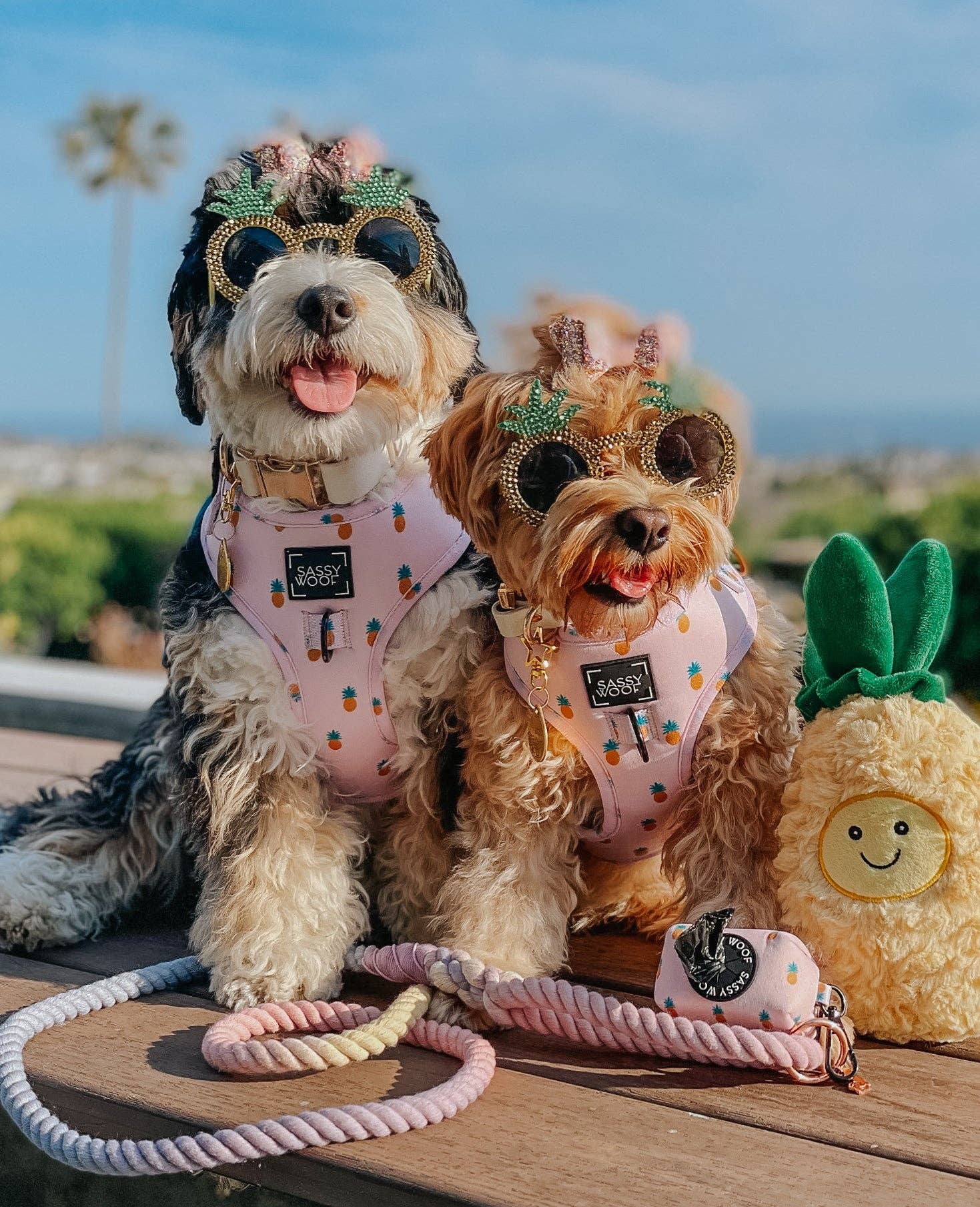 Sassy Woof Dog Rope Leash - Caroline