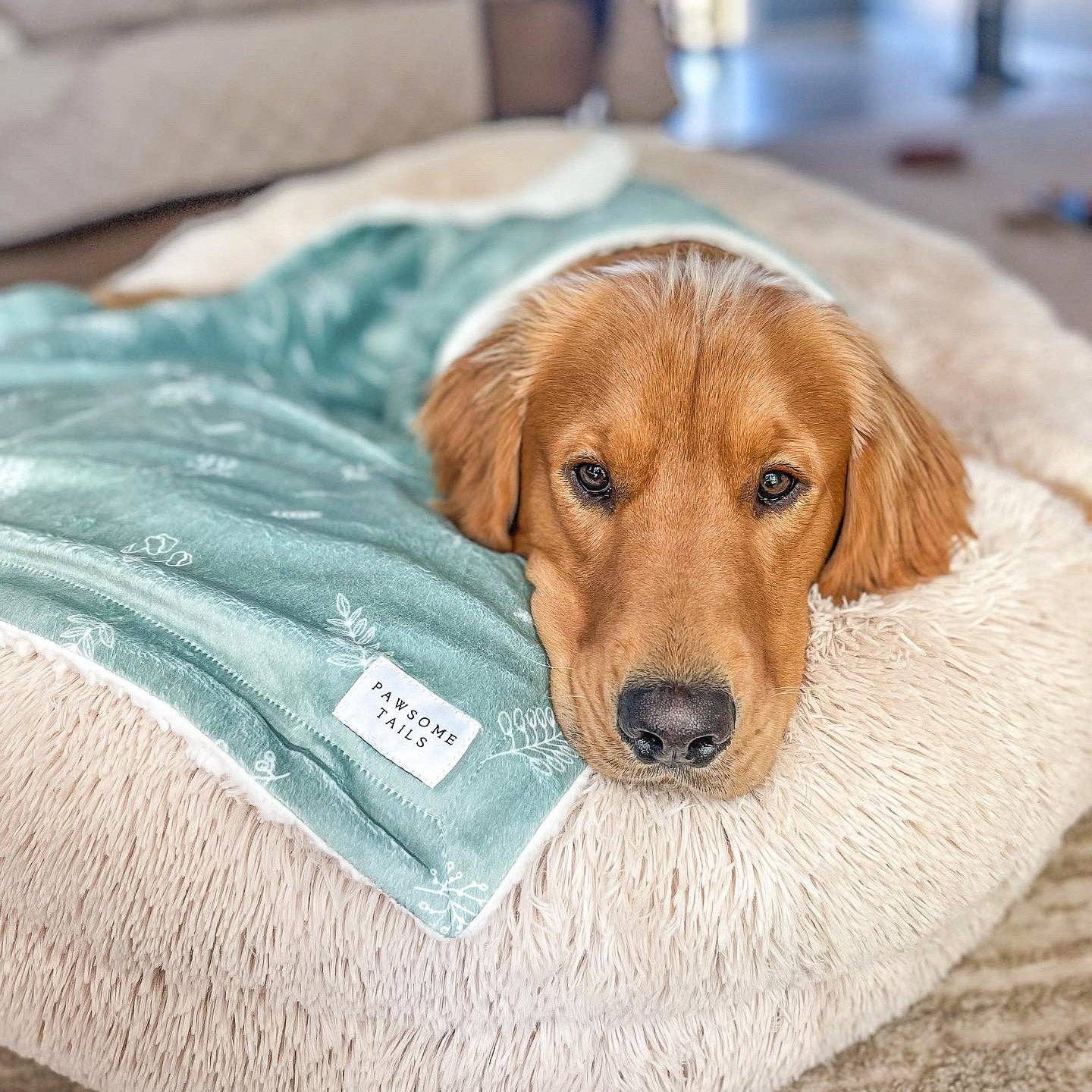 Pawsome Tails Earthy Boho Sage Dog Blanket