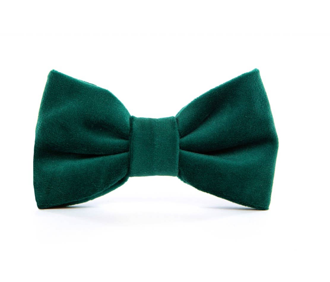 The Foggy Dog Forest Green Velvet Dog Bow Tie