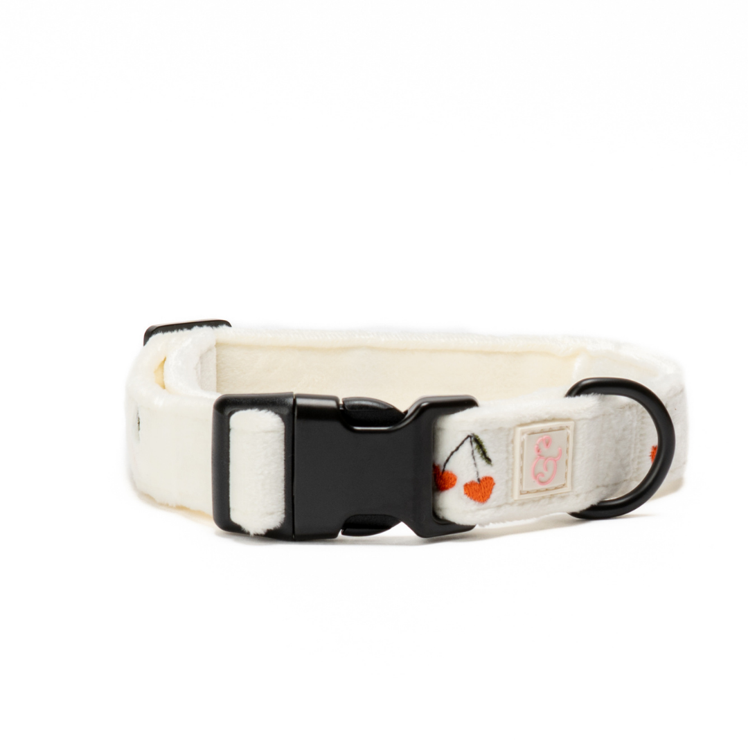 Lucy & Co. Cherry Cute Collar