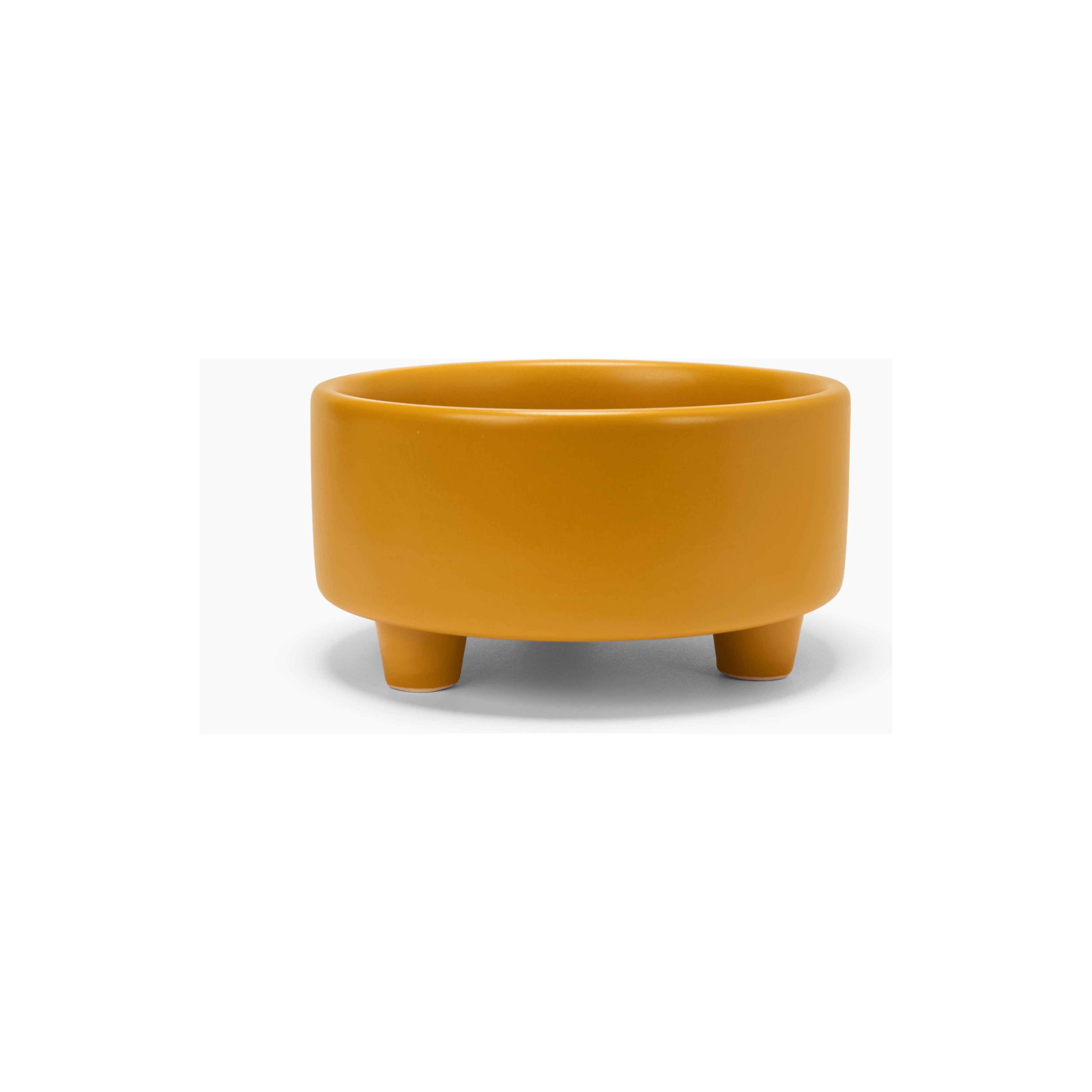 Waggo Uplift Bowl Ceramic Dog Bowl