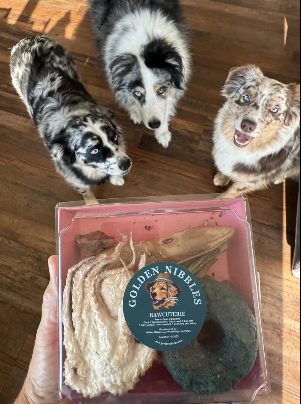 Golden Nibbles RAWCUTERIE Box - Variety Box