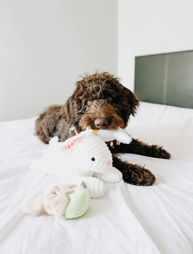 Midlee Easter Bunny Egg Dog Toy