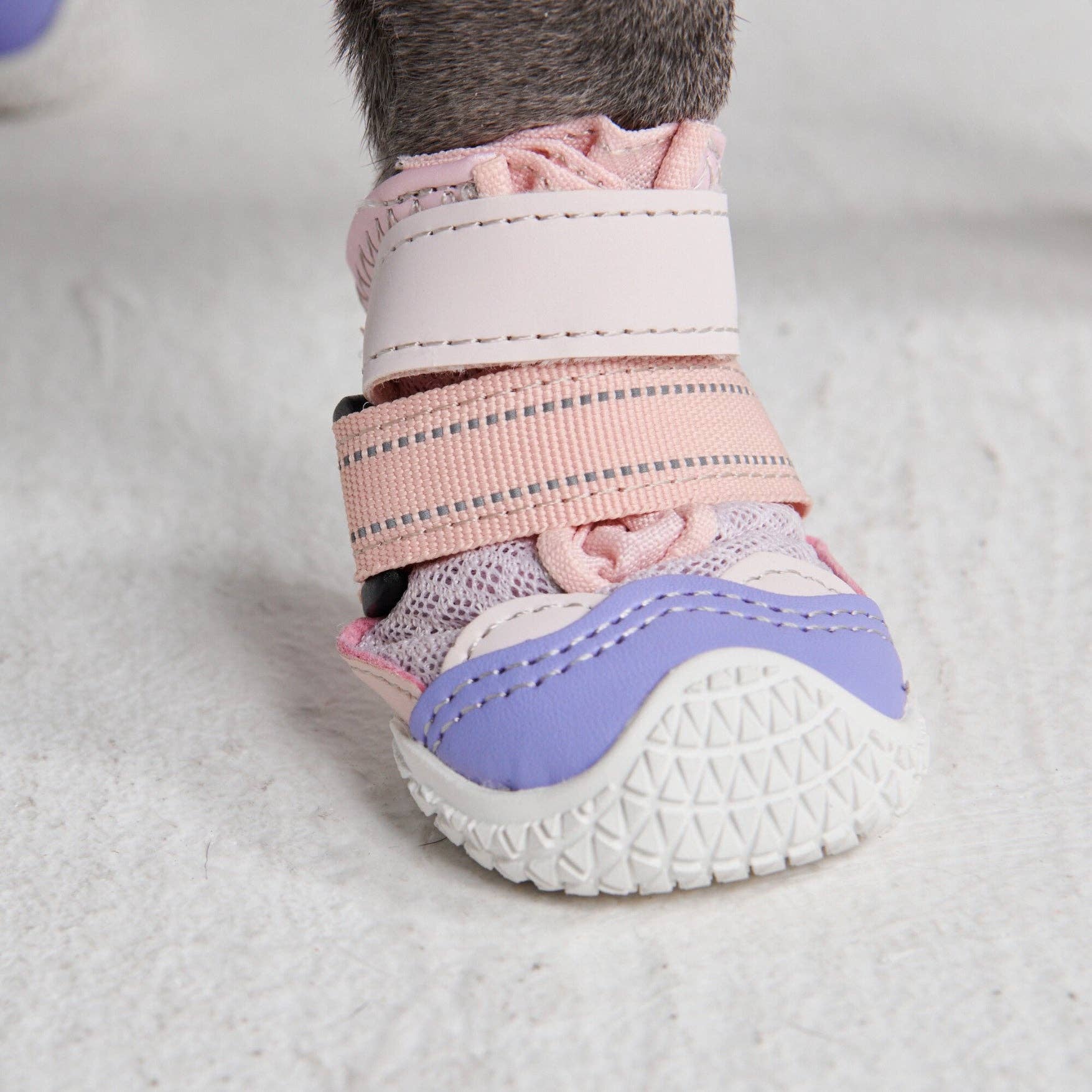 Spark Paws Pavement Pawtector Pink/Purple
