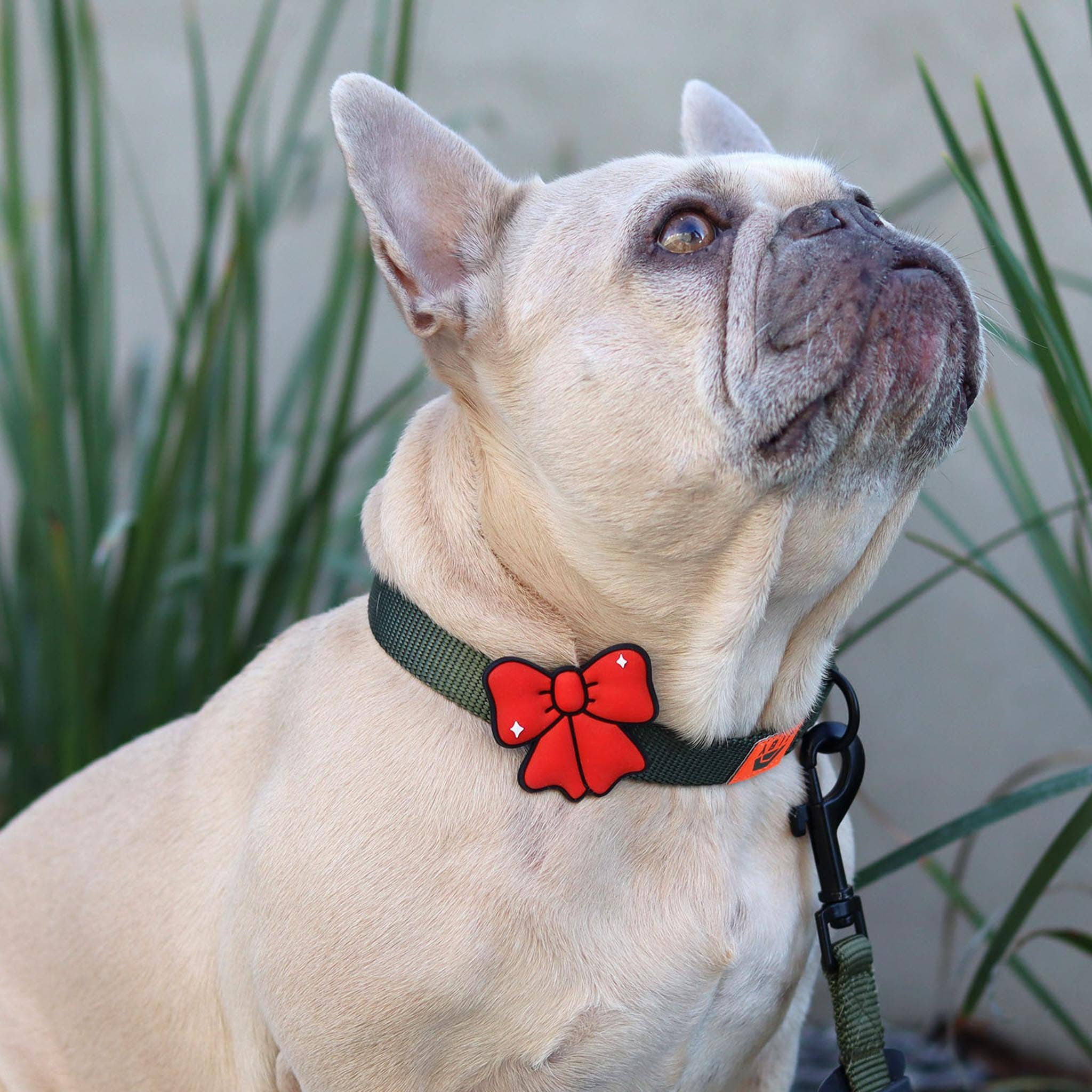 Ribbon Pink Jiby Dog Charm