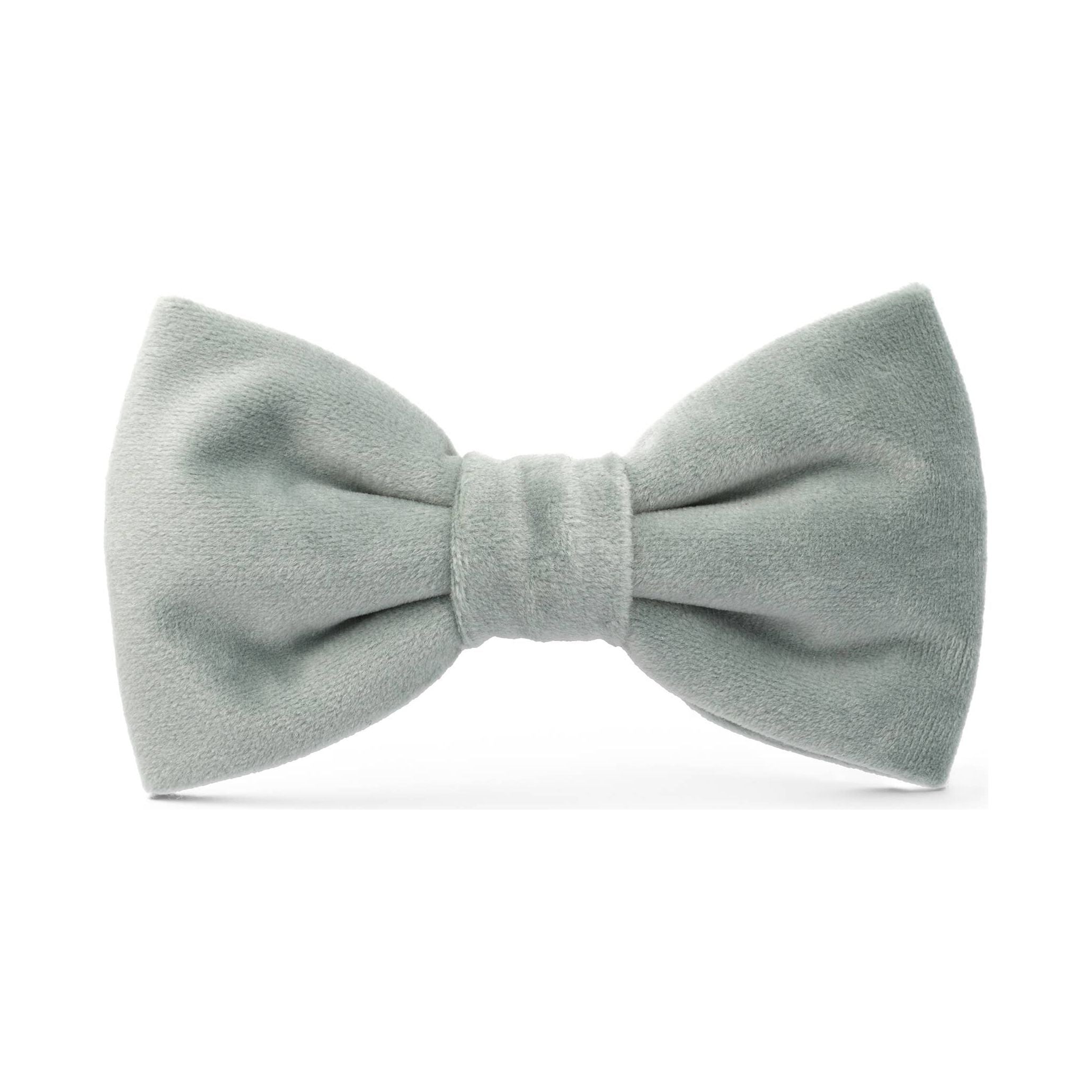 The Foggy Dog Sage Velvet Fall Dog Bow Tie