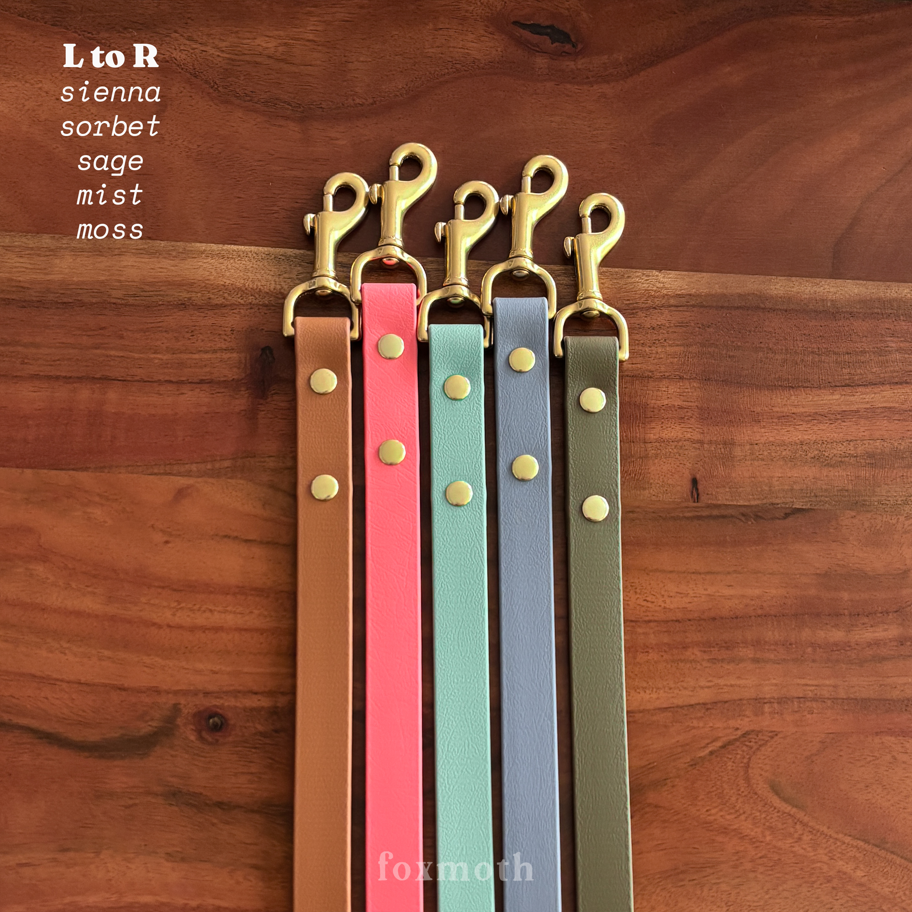 Foxmoth Biothane Waterproof Leash