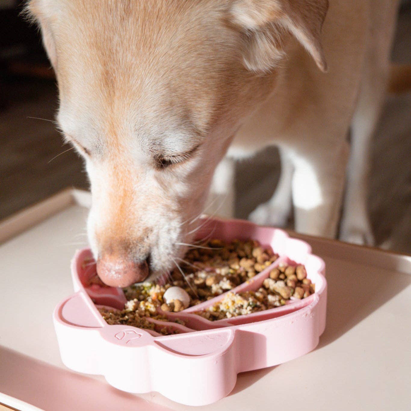 Pawsome Tails Seashell Slow Feeder Bowl | Petal