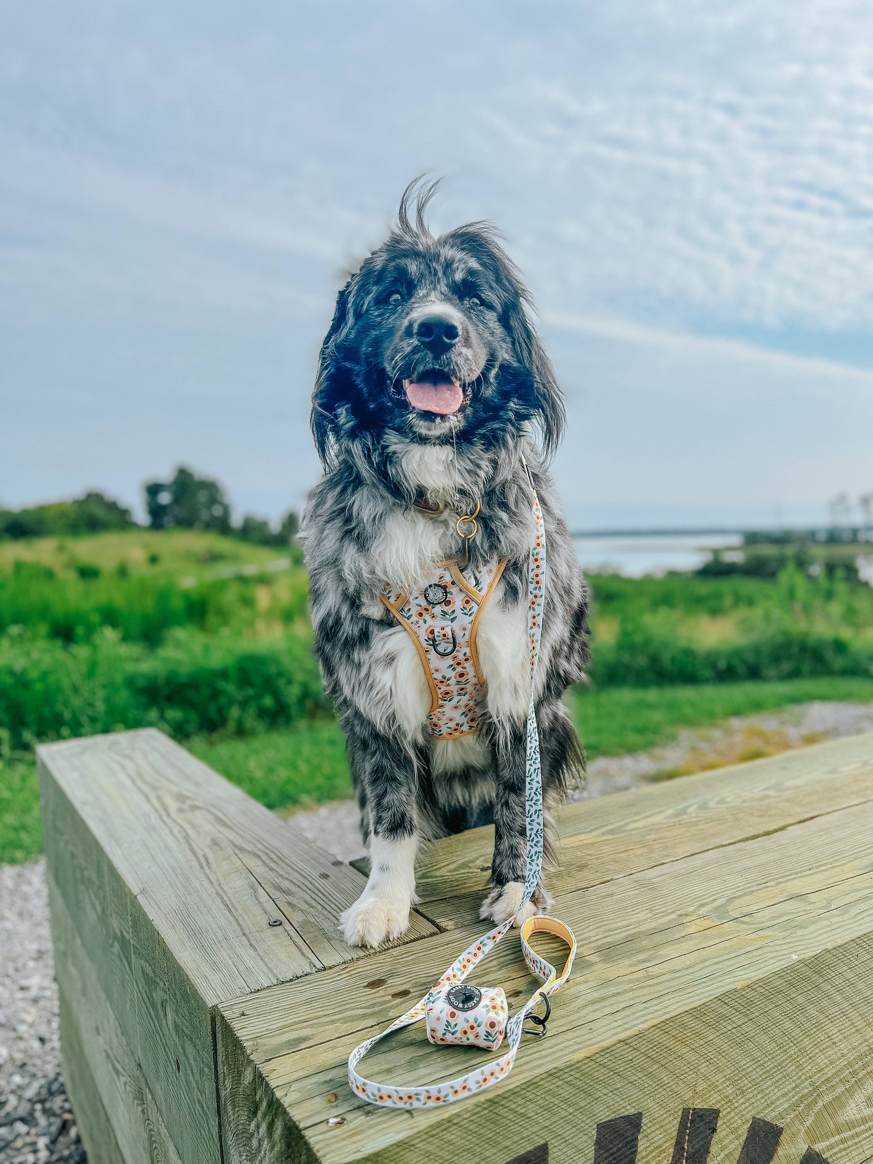 Sassy Woof Waste Bag Holder - Sunflower Dreams