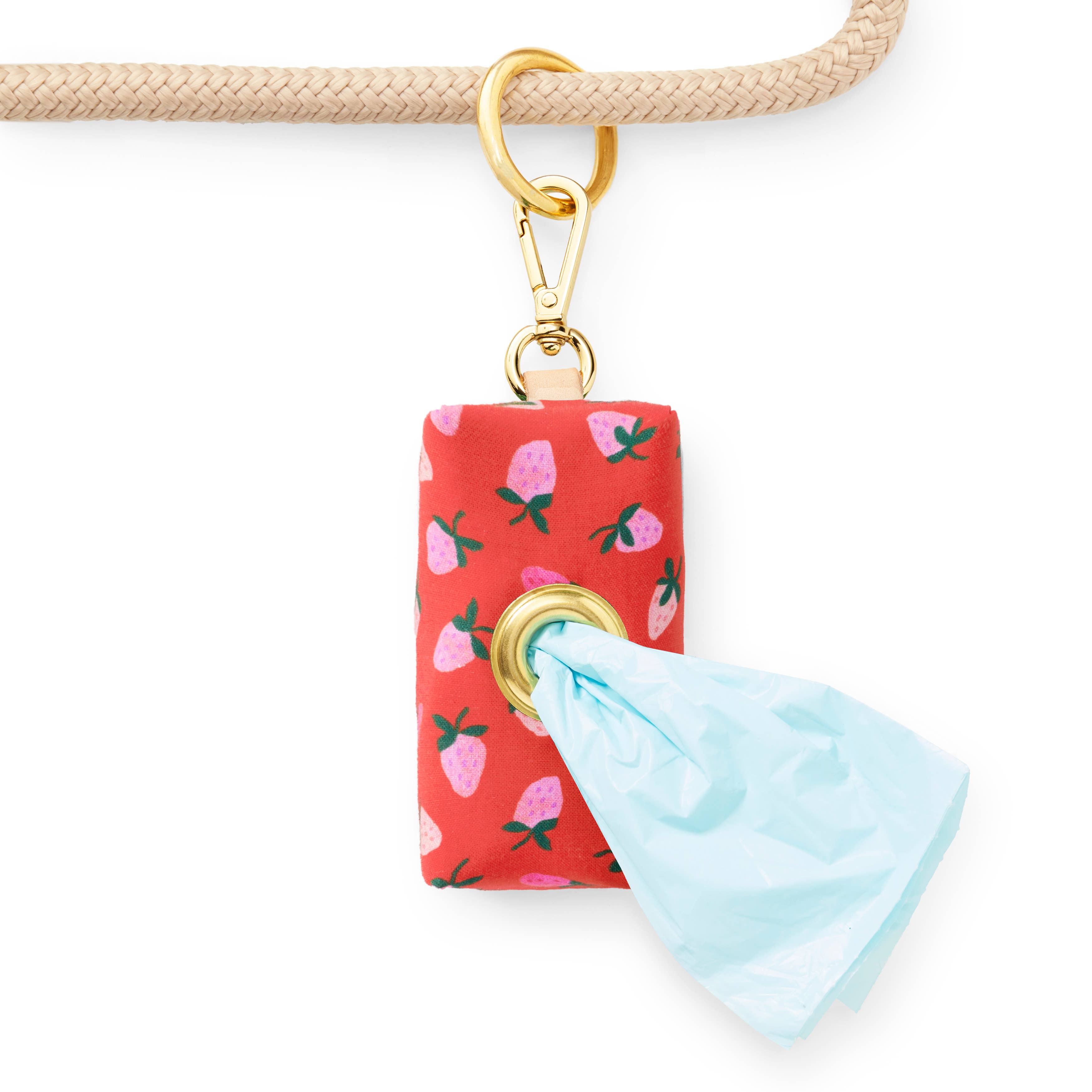 The Foggy Dog Berry Sweet Valentine's Day Poop Bag Dispenser