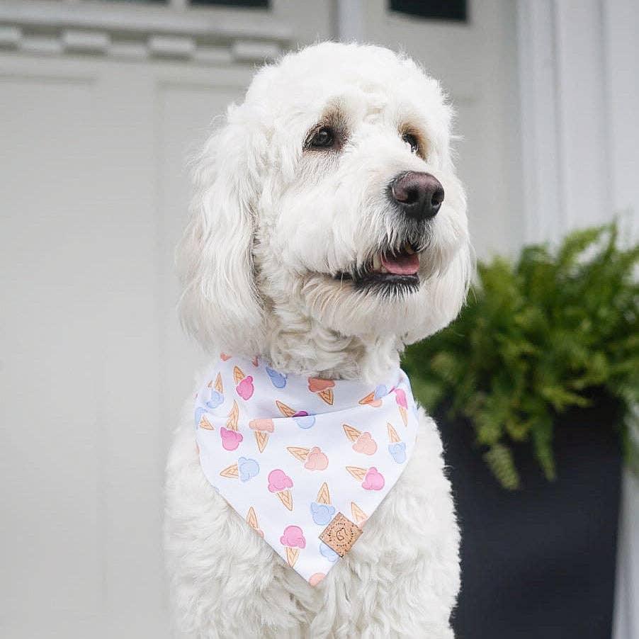 Pawsome Tails Ice Cream Bandana