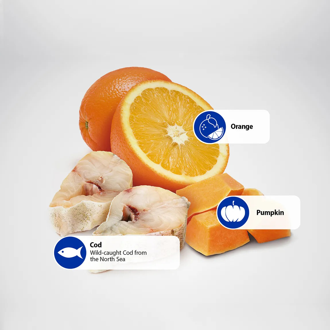 Farmina Dog N&D Dog GF Ocean Cod Pumpkin Medium & Maxi